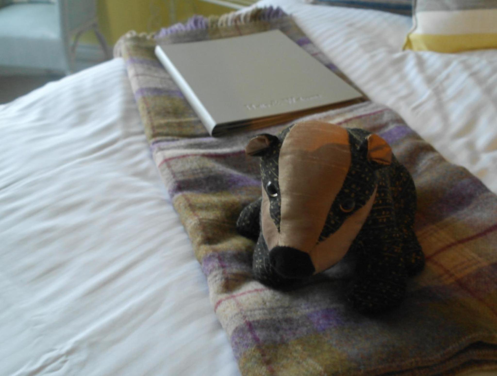 Comfy Sea View photo 2
