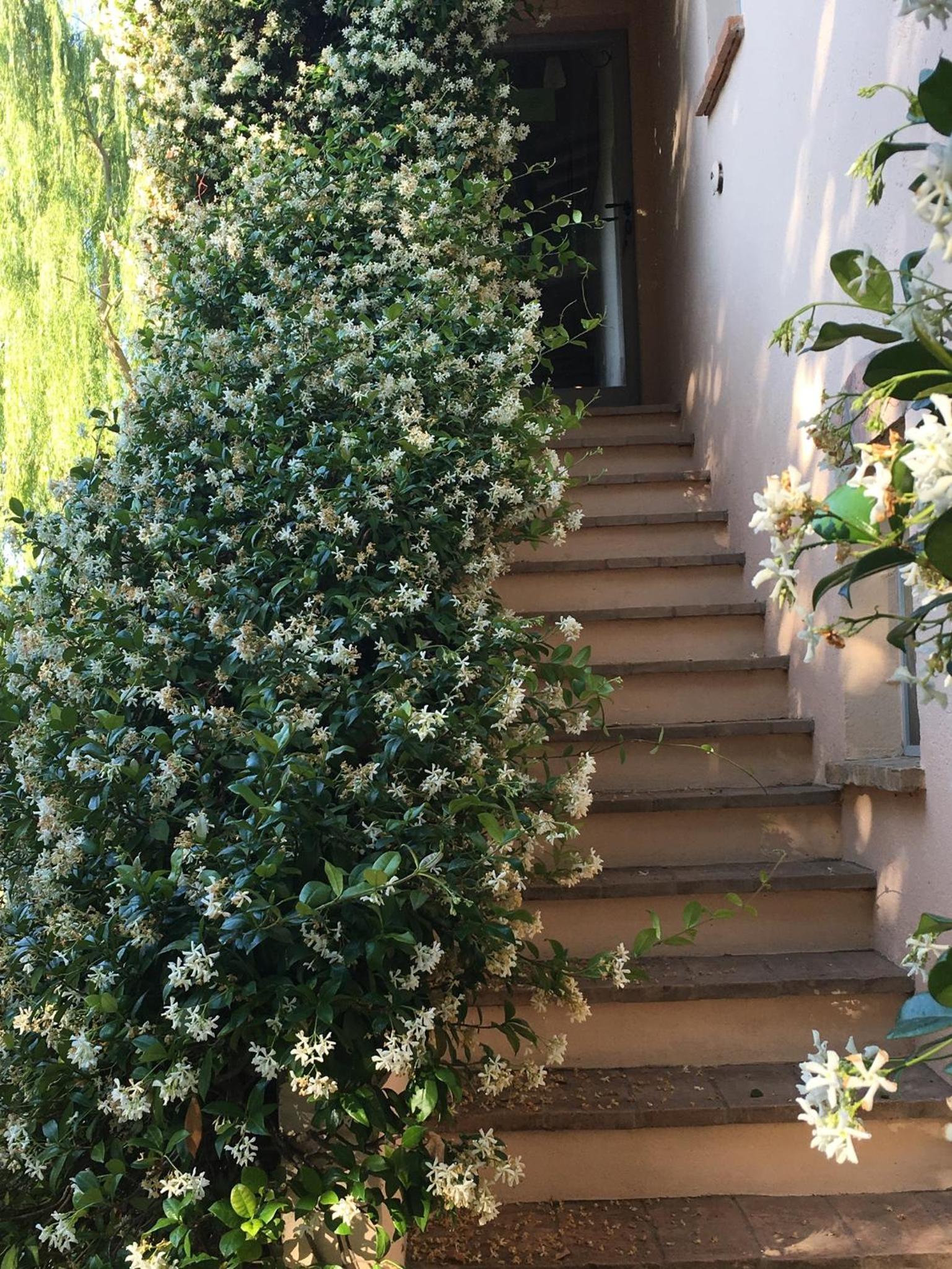 Double or Twin Room with Shared Bathroom