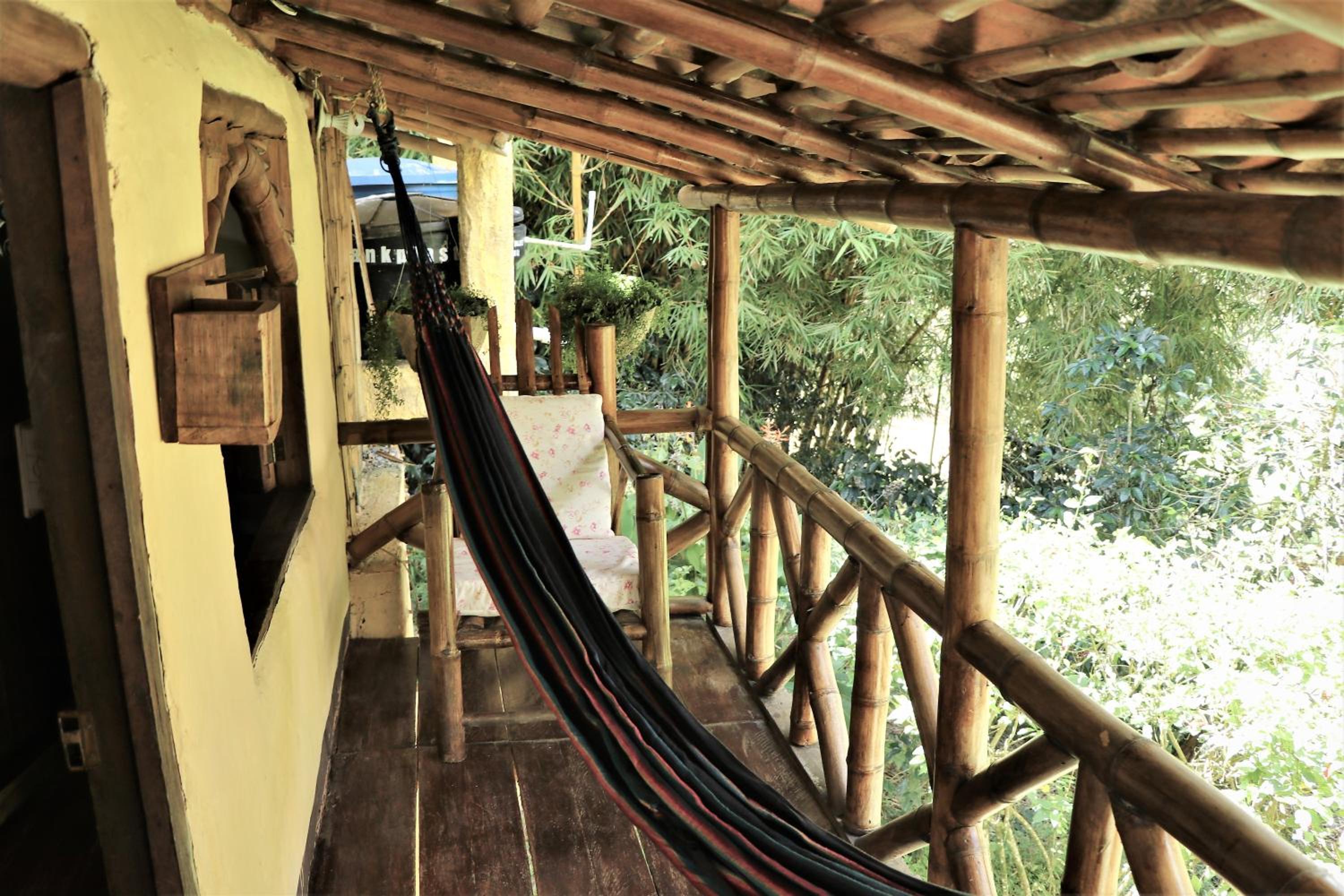 Double Room with Balcony photo 3