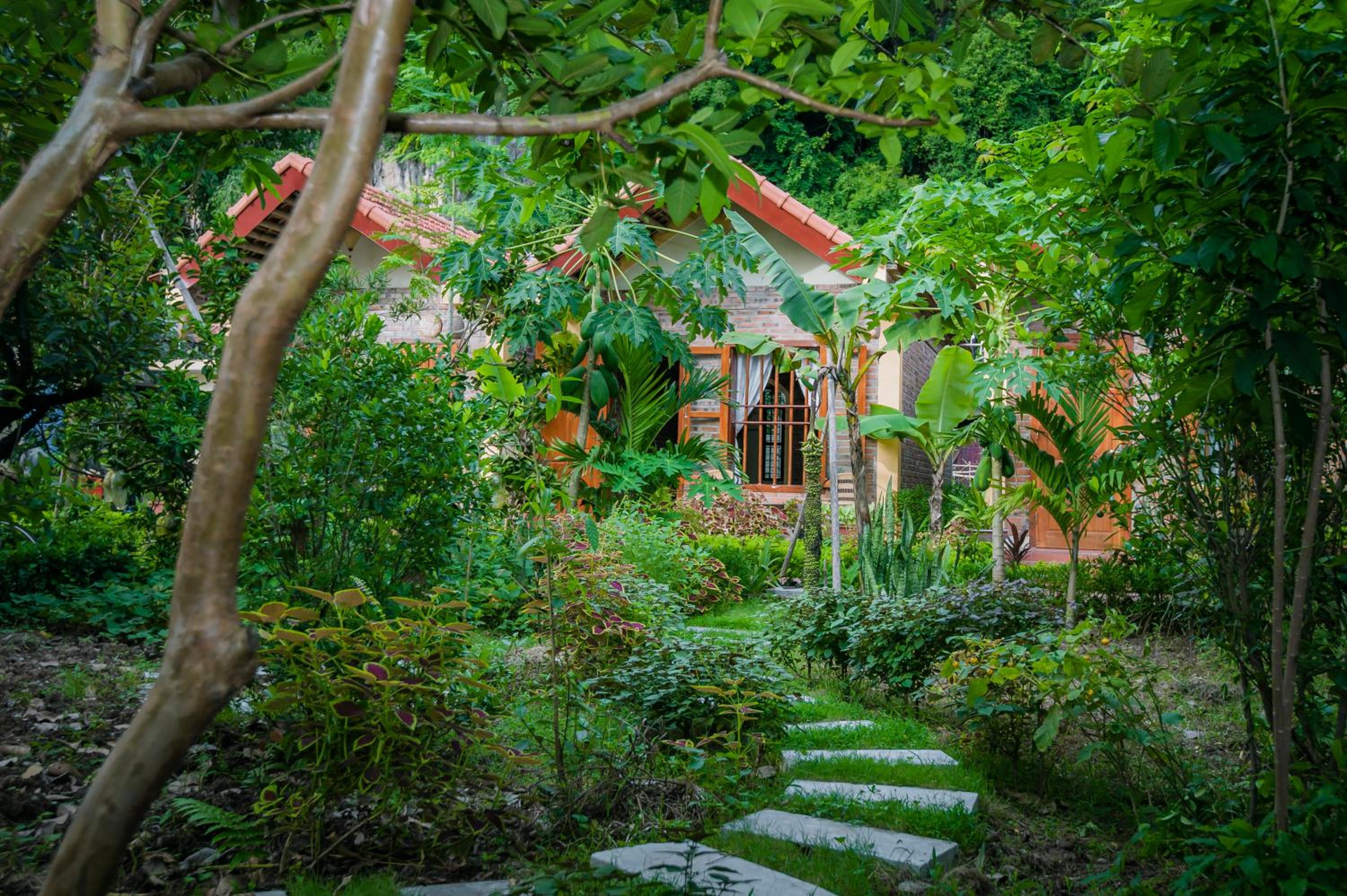 Deluxe Bungalow with Garden View photo 3
