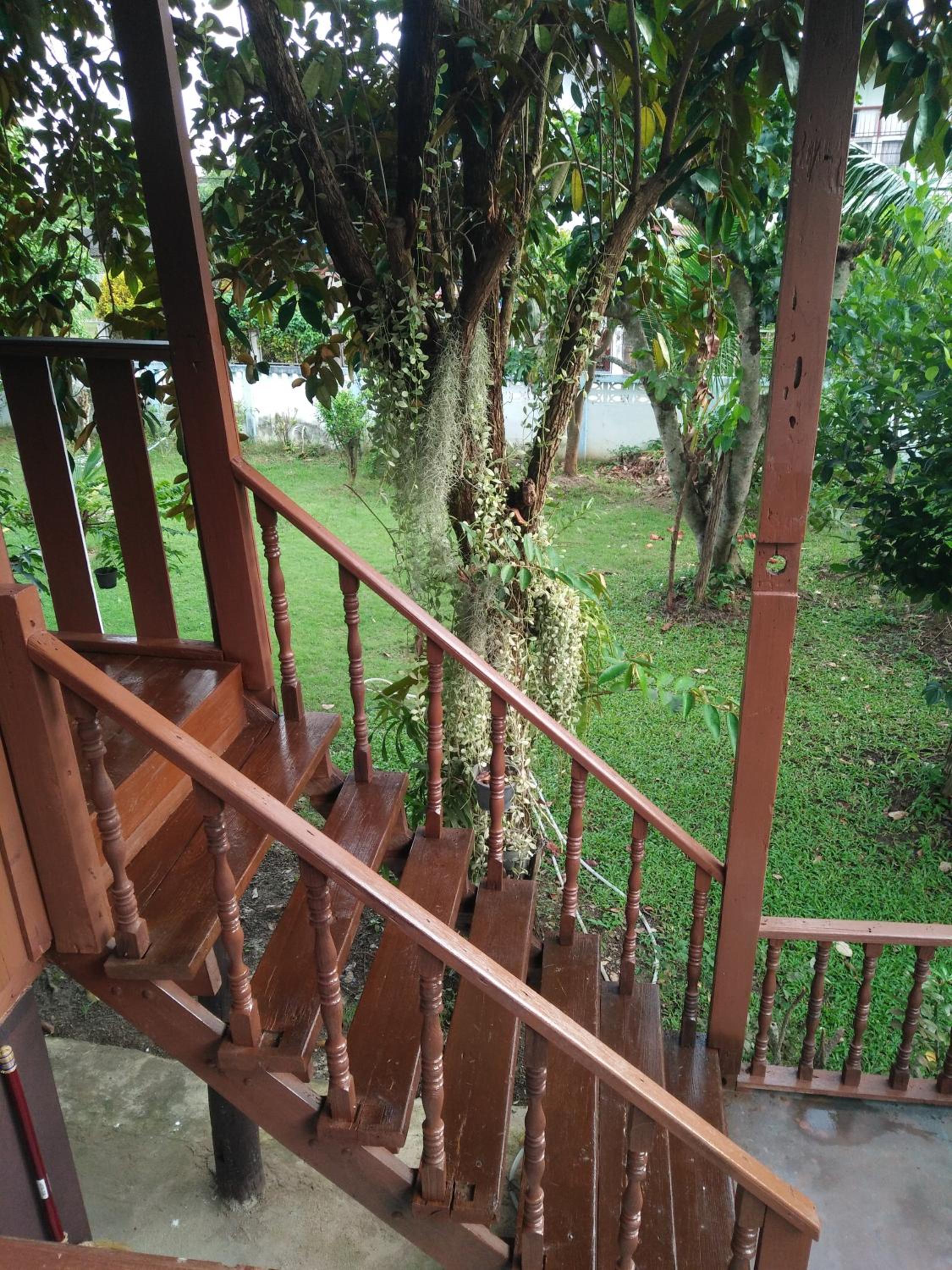 Family Bungalow with Fan photo 2
