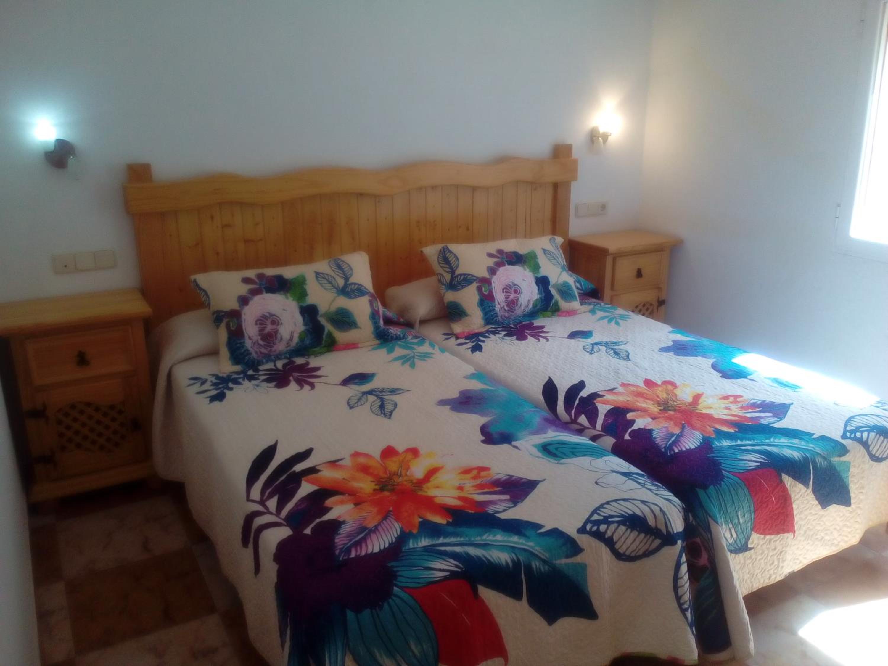 Twin Room photo 3
