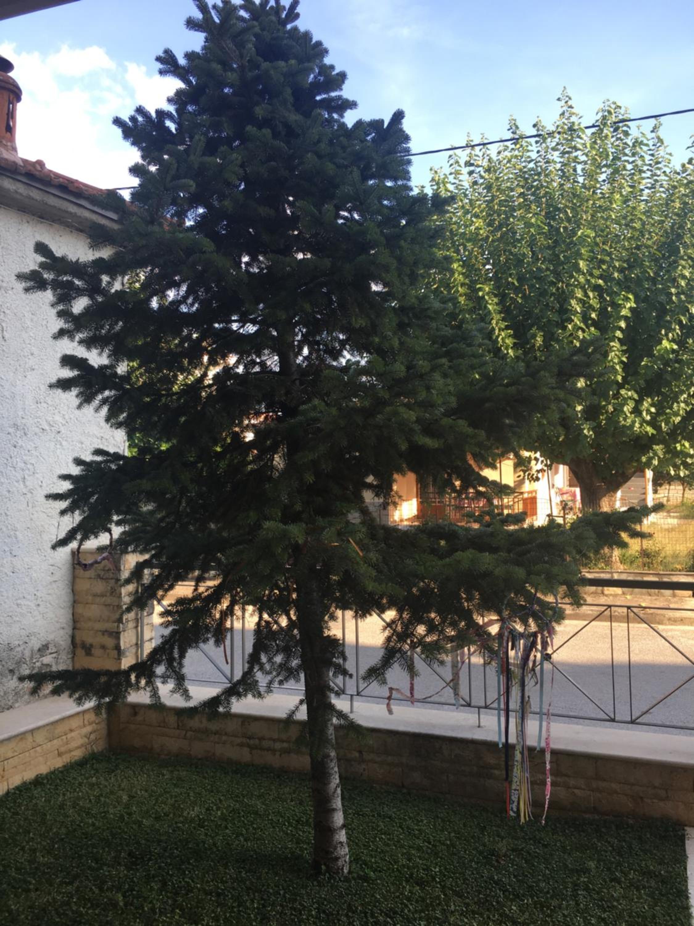 Apartment - Photo 34