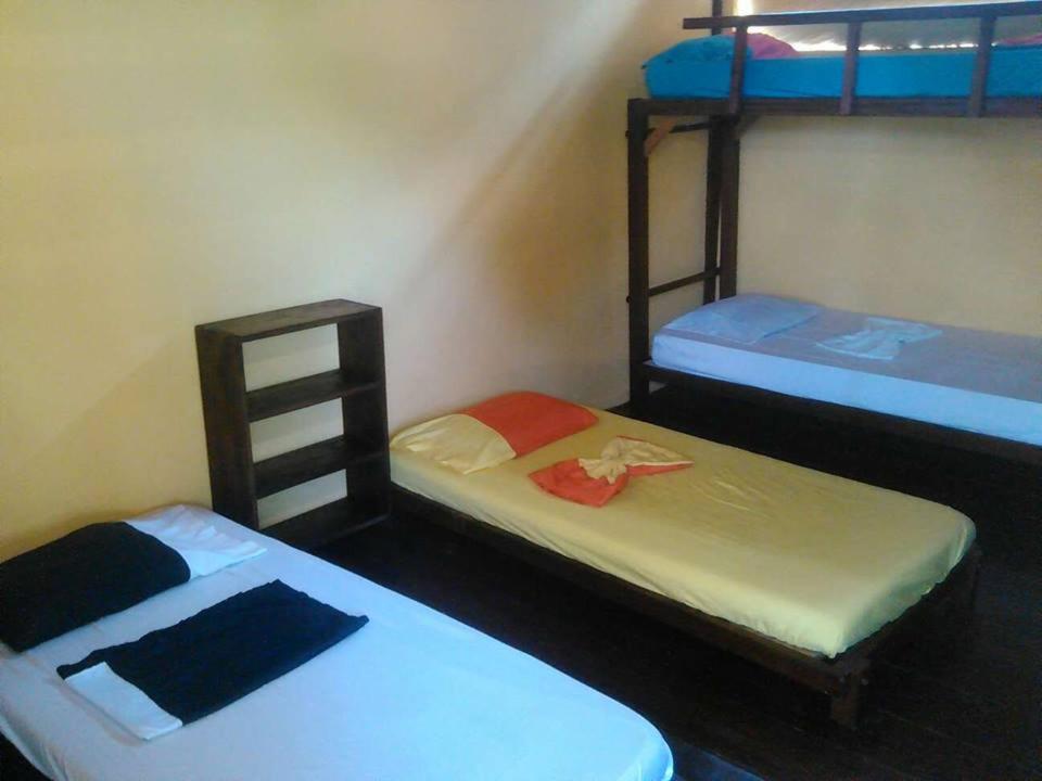 Bed in 4-Bed Mixed Dormitory Room photo 1