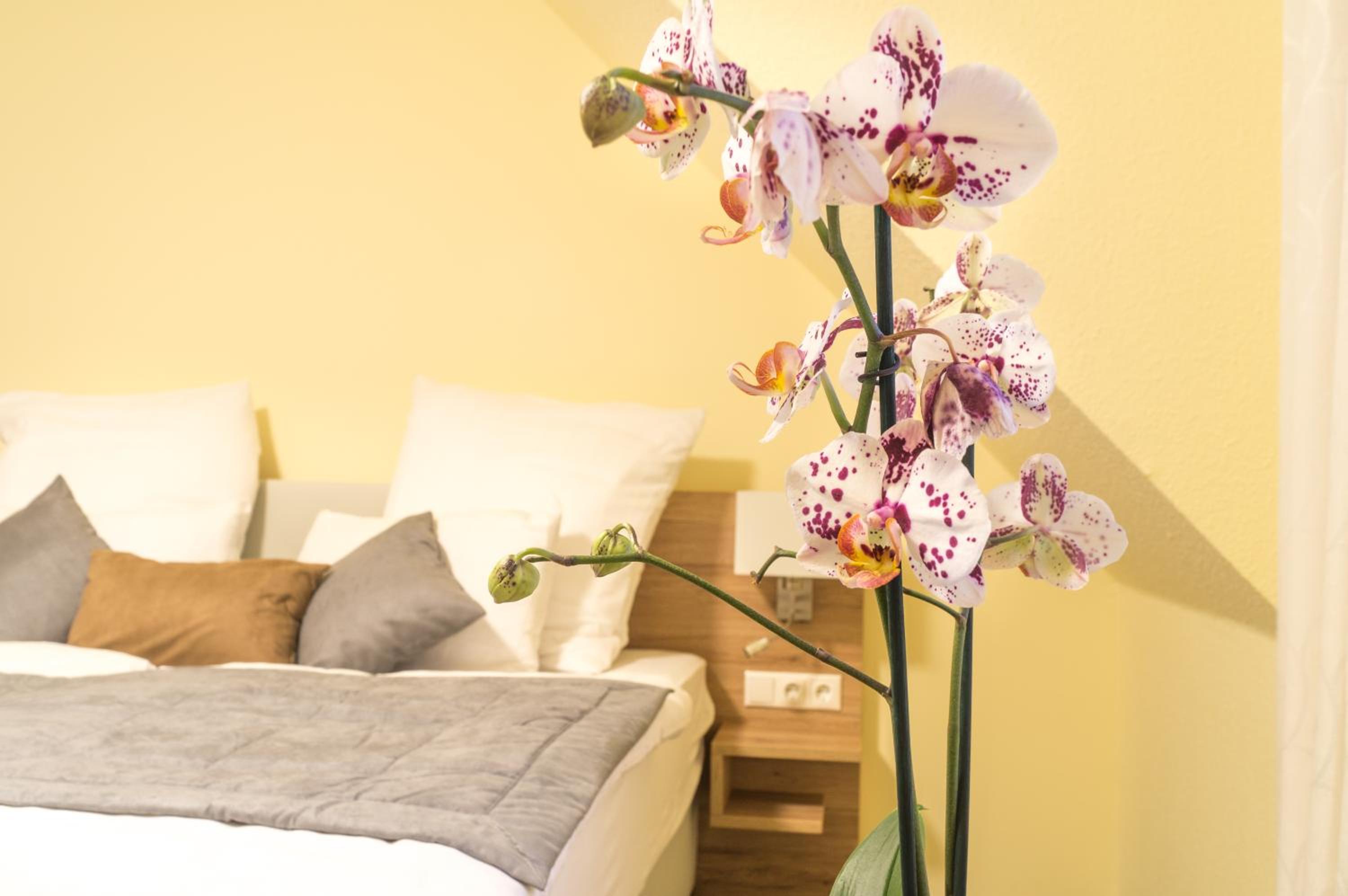 Deluxe Double Room - Photo 1