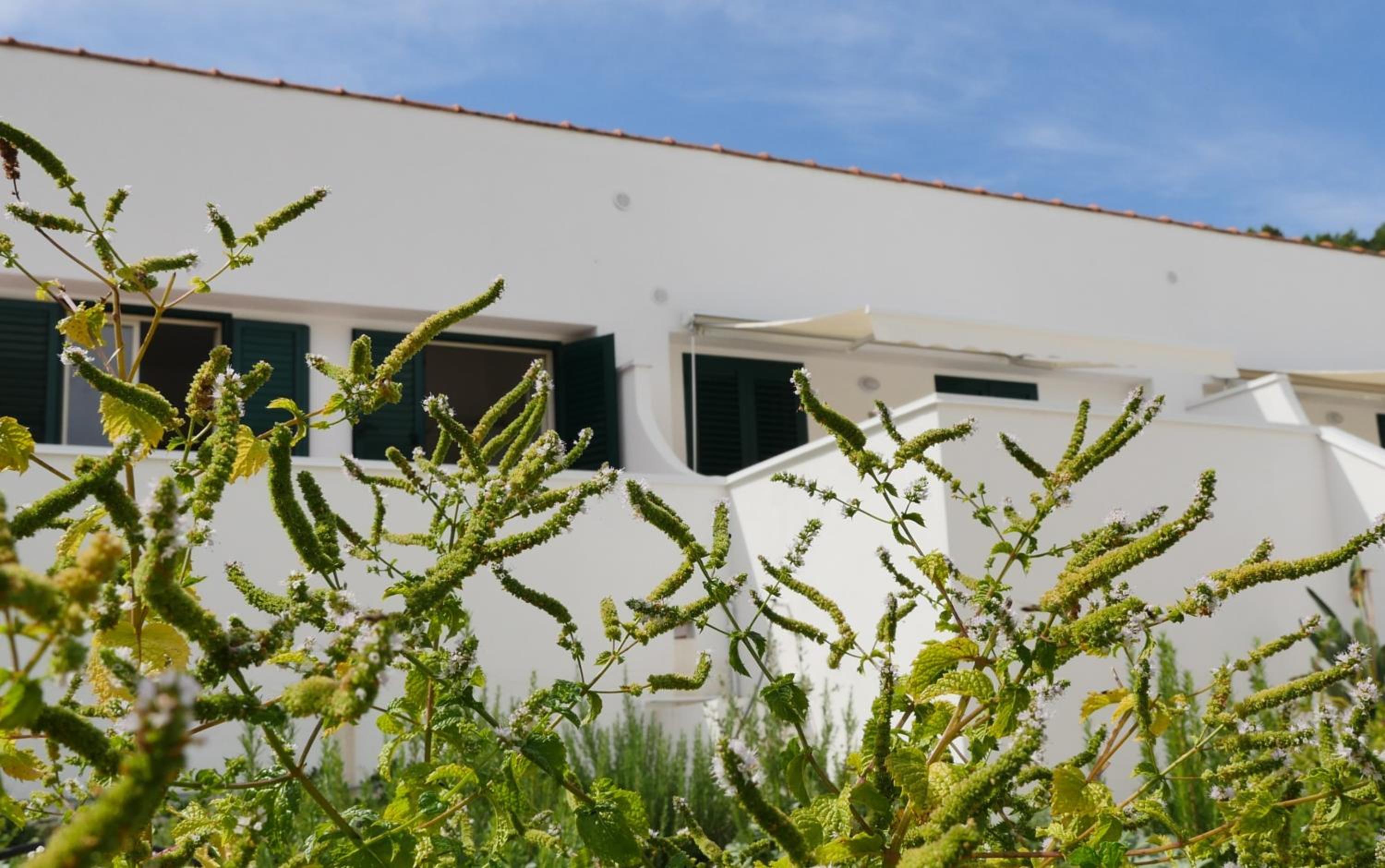 Holiday Home photo 1