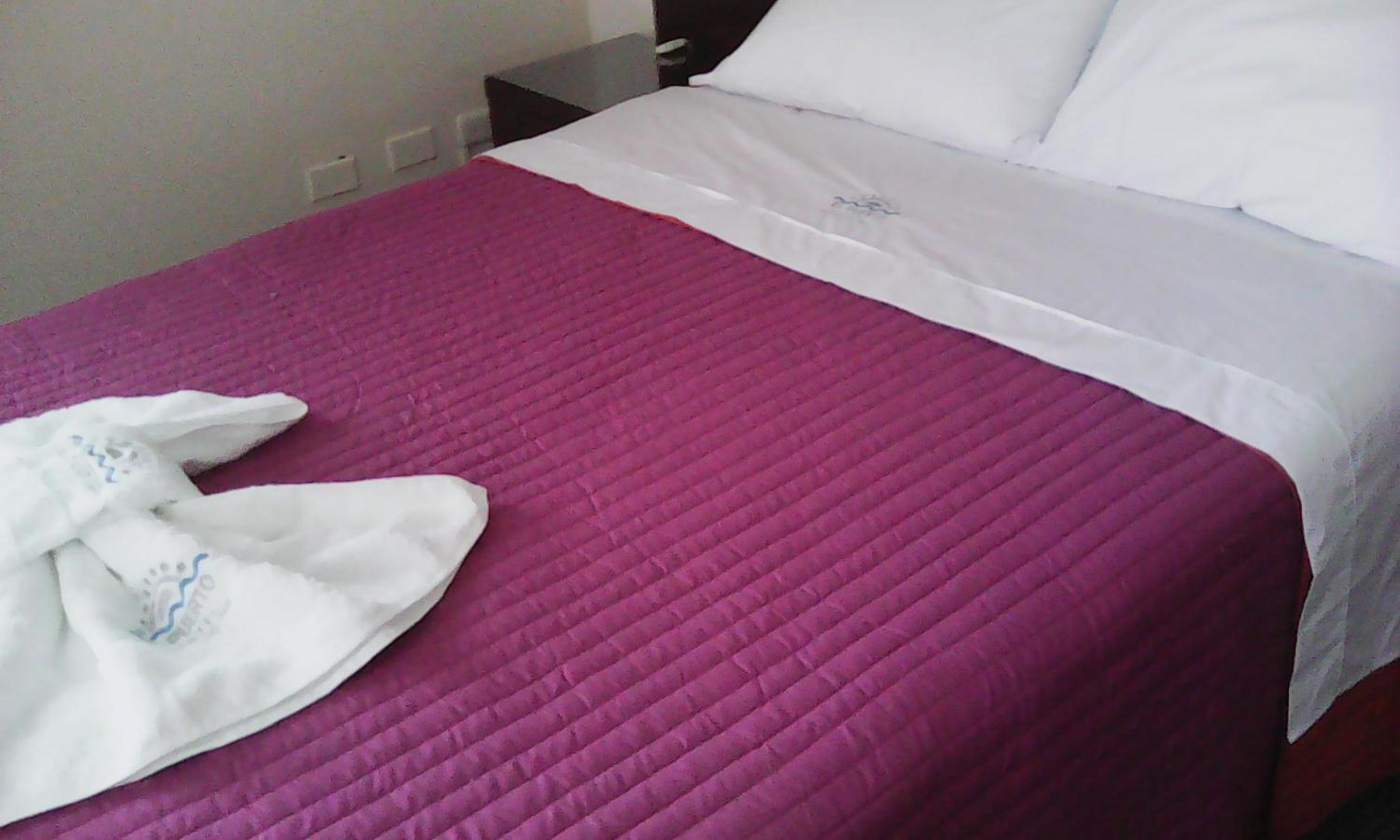 Standard Single Room photo 3