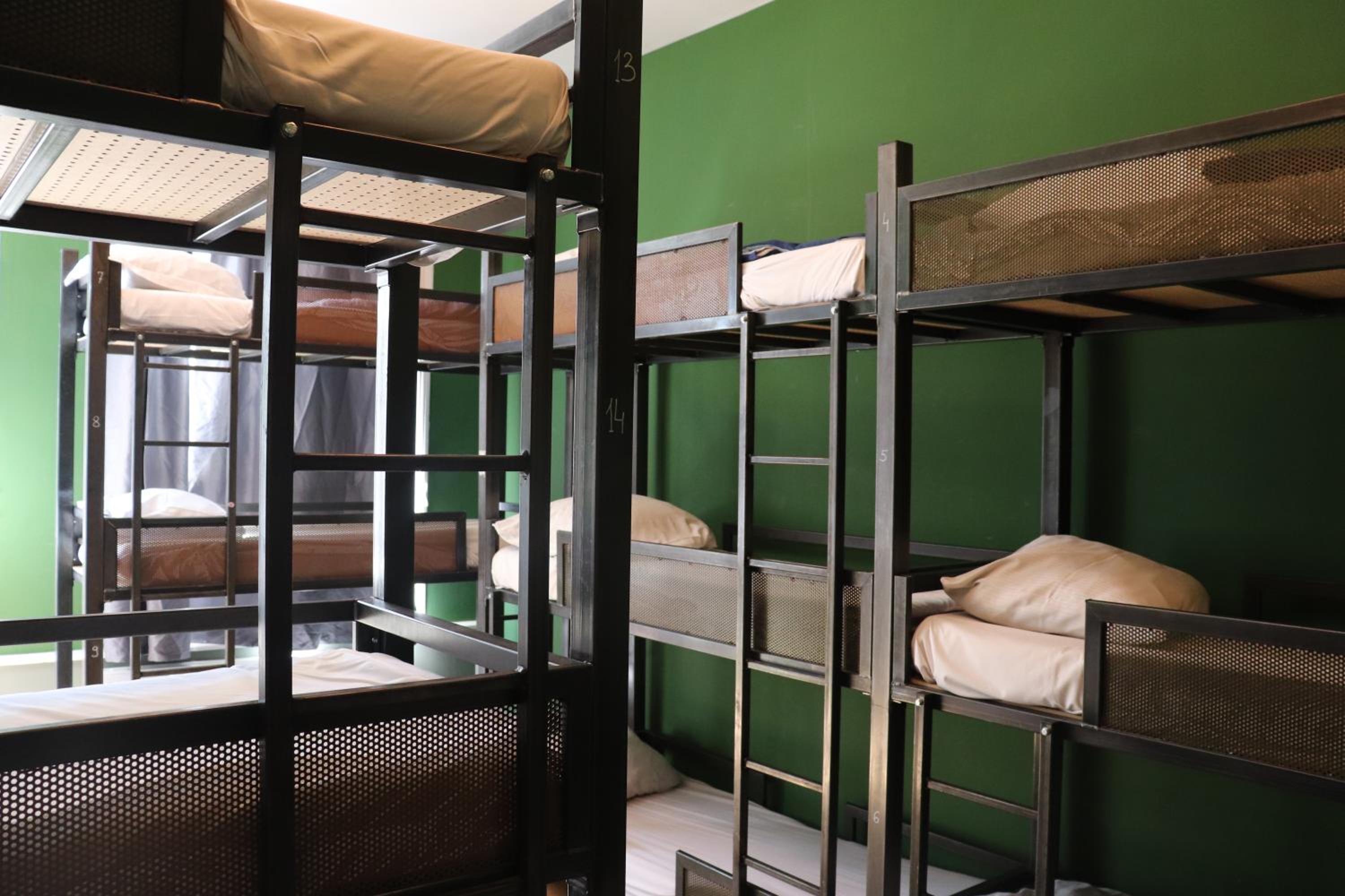 Bed in 21-Bed Mixed Dormitory Room with Shared Bathroom photo 1