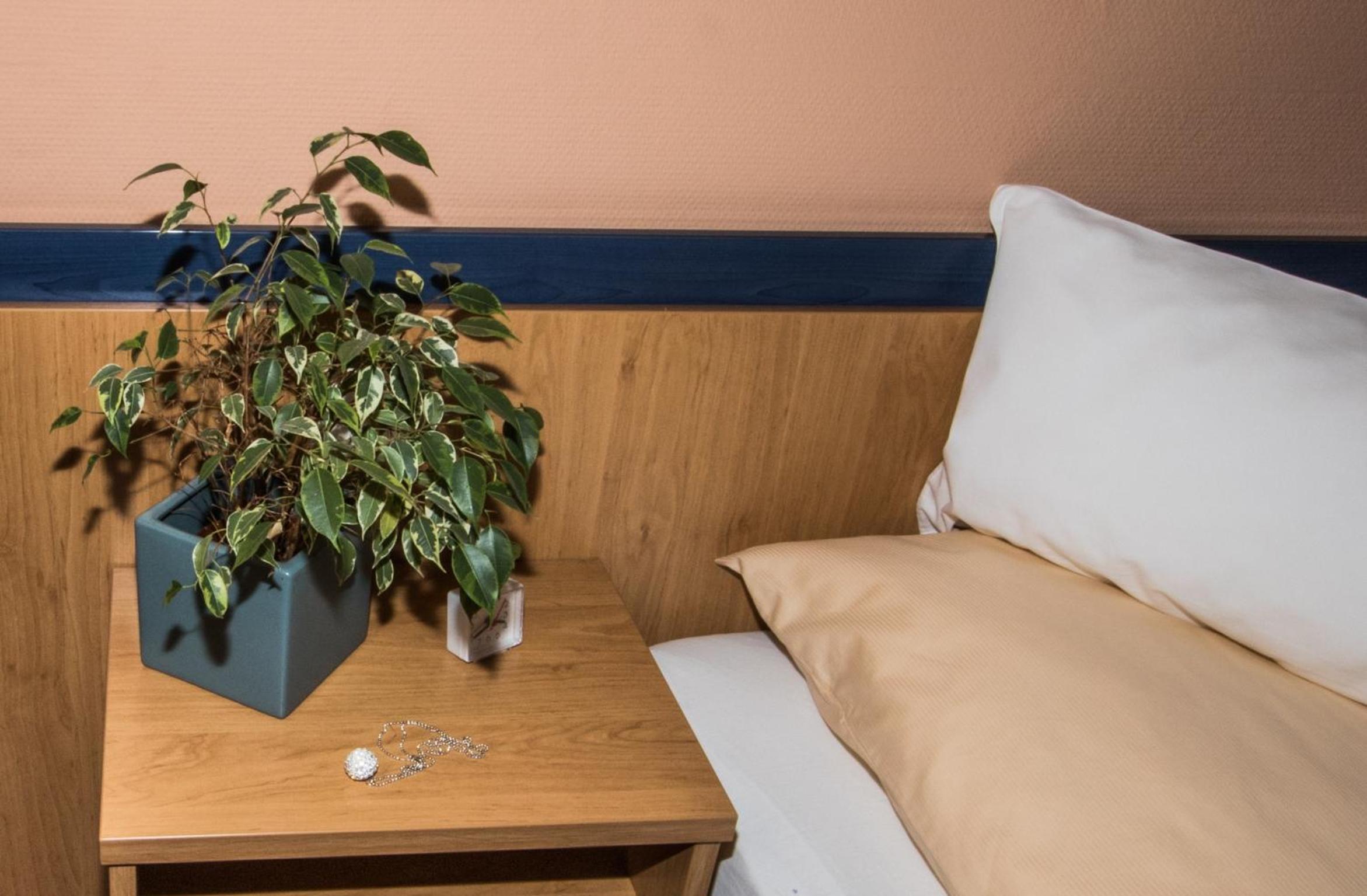 Comfort Single Room