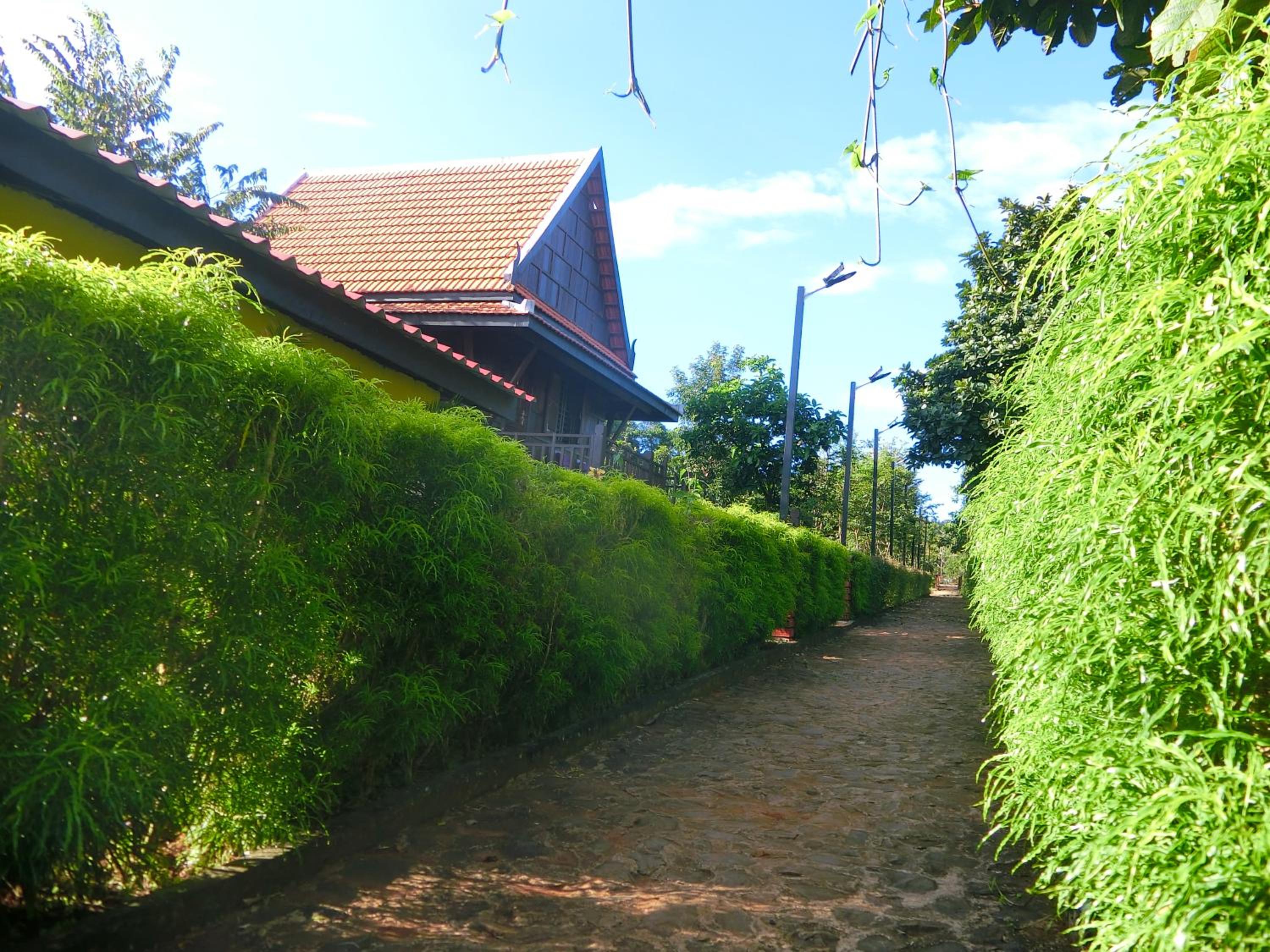 Deluxe Bungalow with Garden View - Photo 2