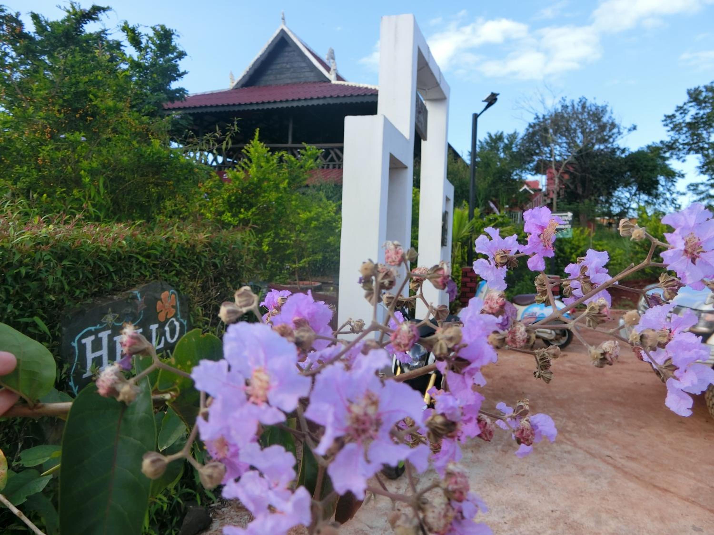 Single Room with Balcony photo 2