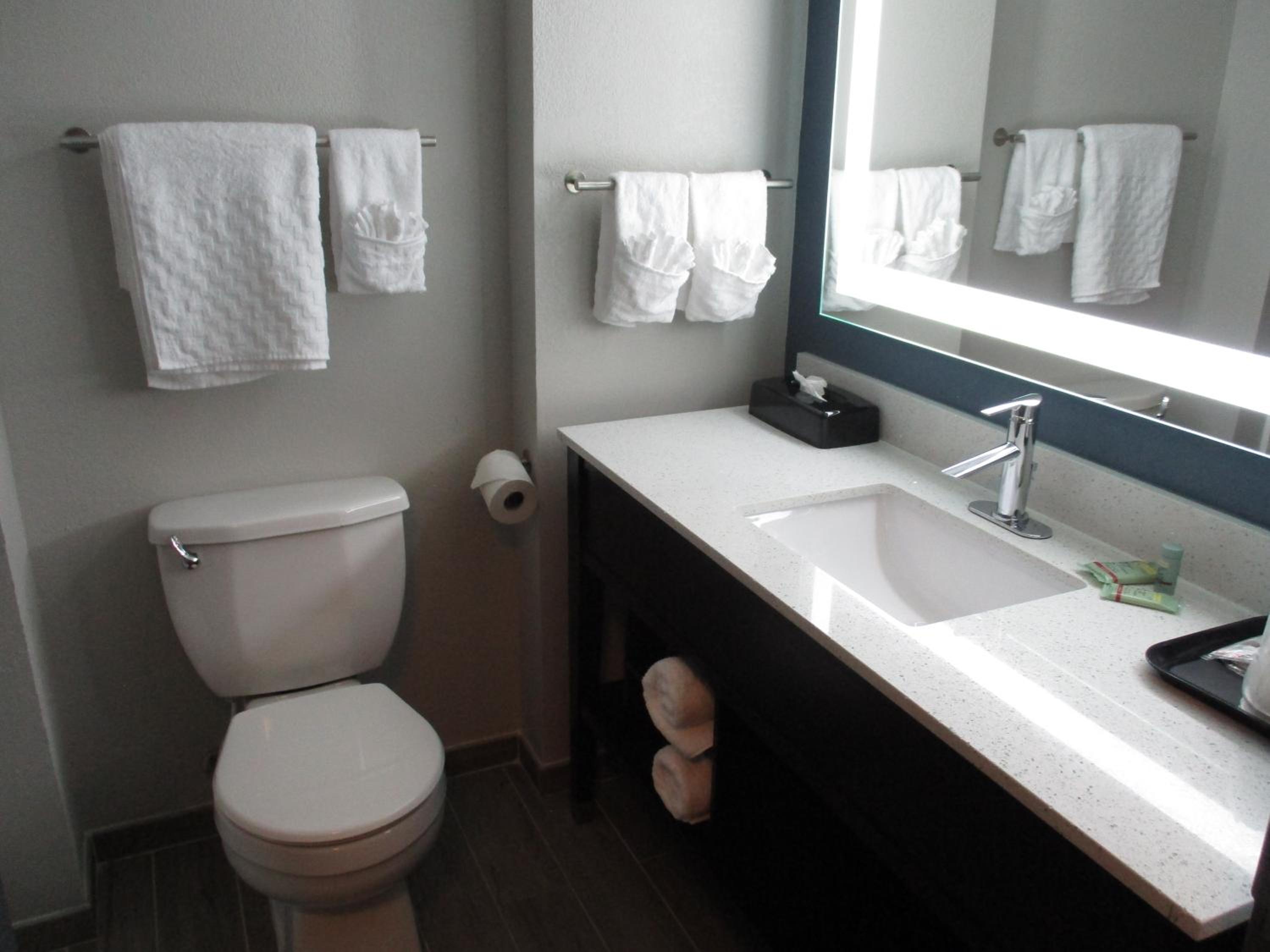 King Room with Walk-In Shower - Mobility Access - Photo 6