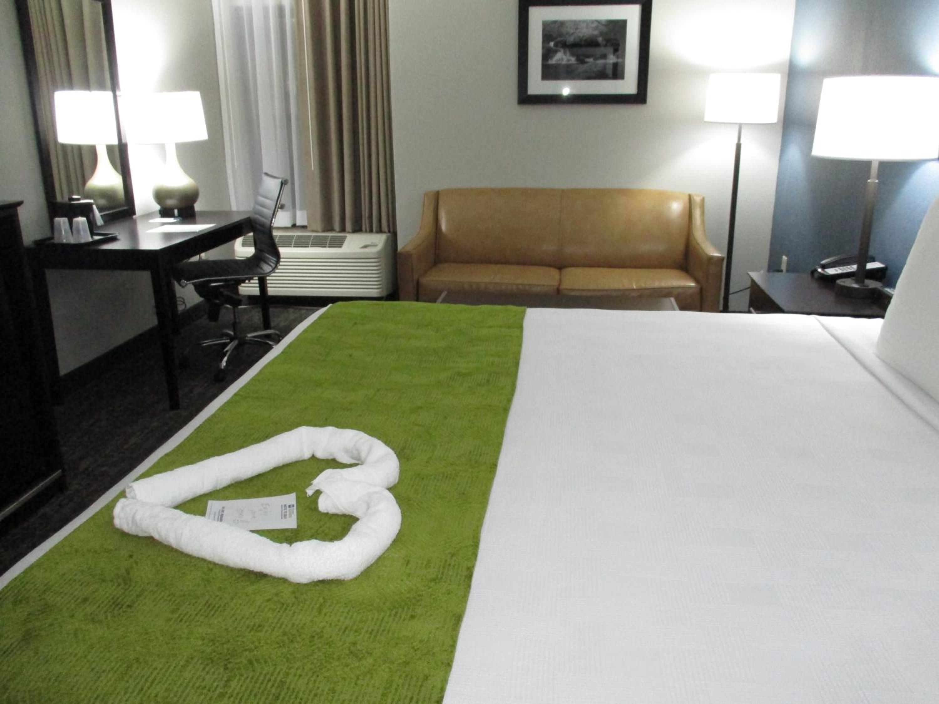 King Suite with Sofa Bed - Non-Smoking - Photo 3