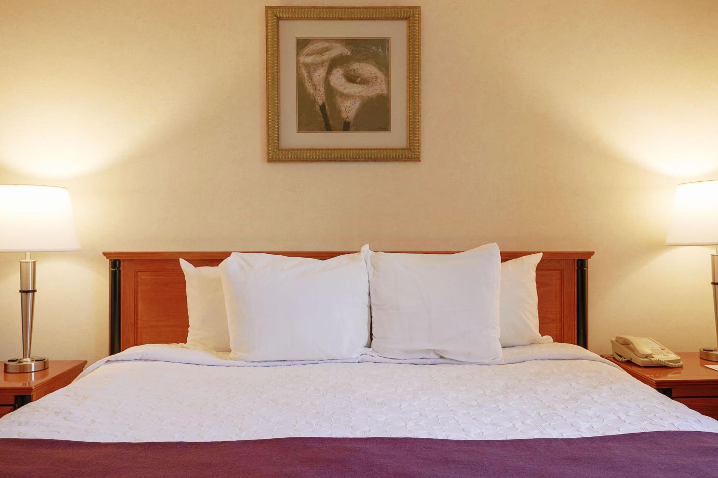 King Room - Photo 1