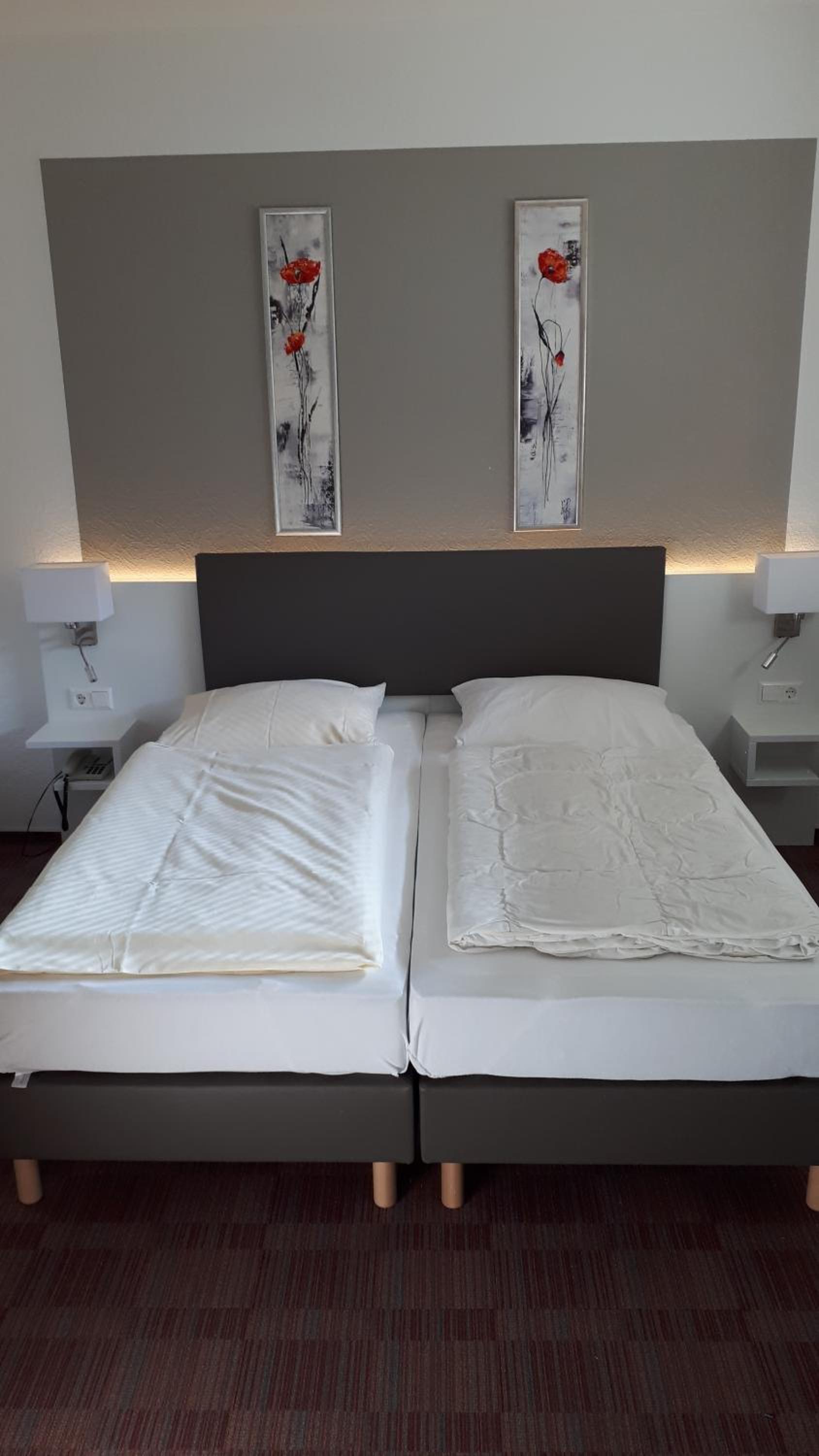 Twin Room photo 1