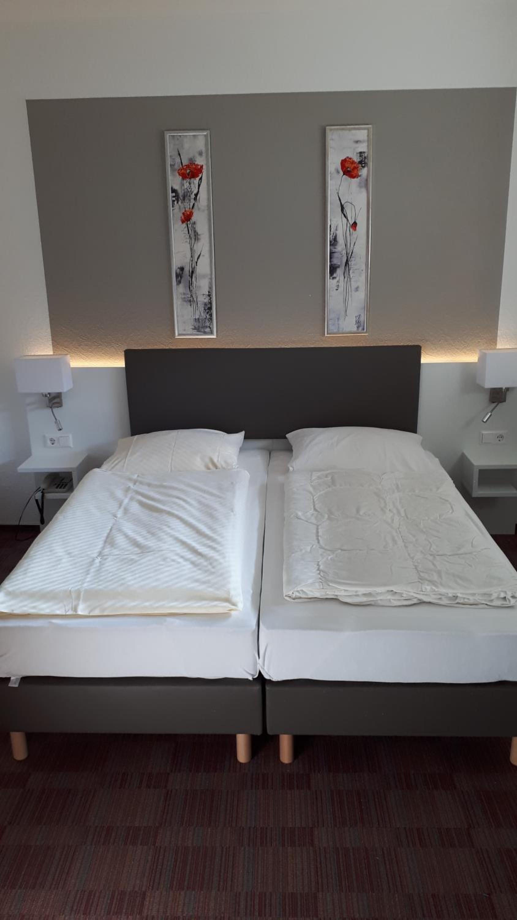 Twin Room photo 3