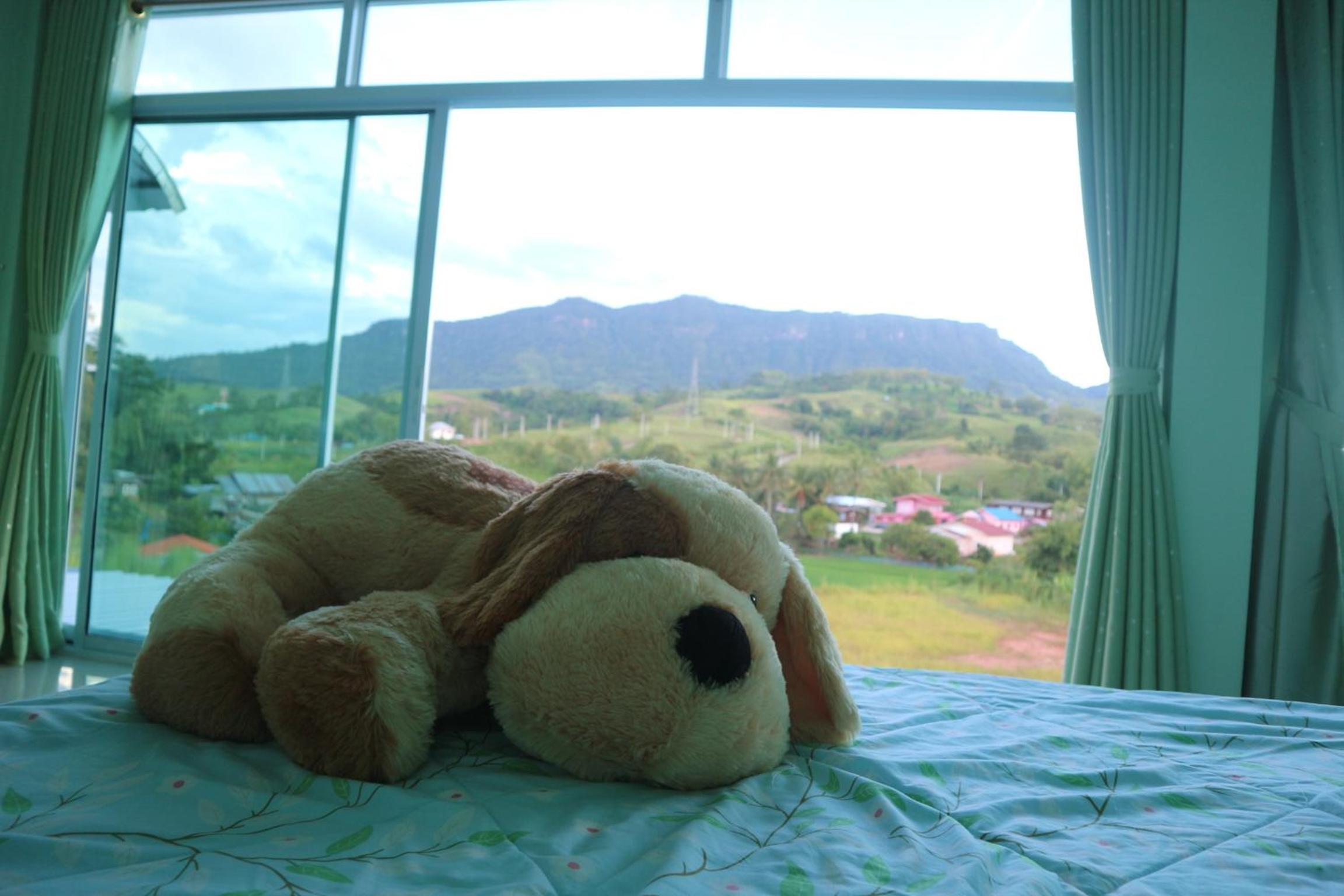Family Room with Mountain View - Photo 12
