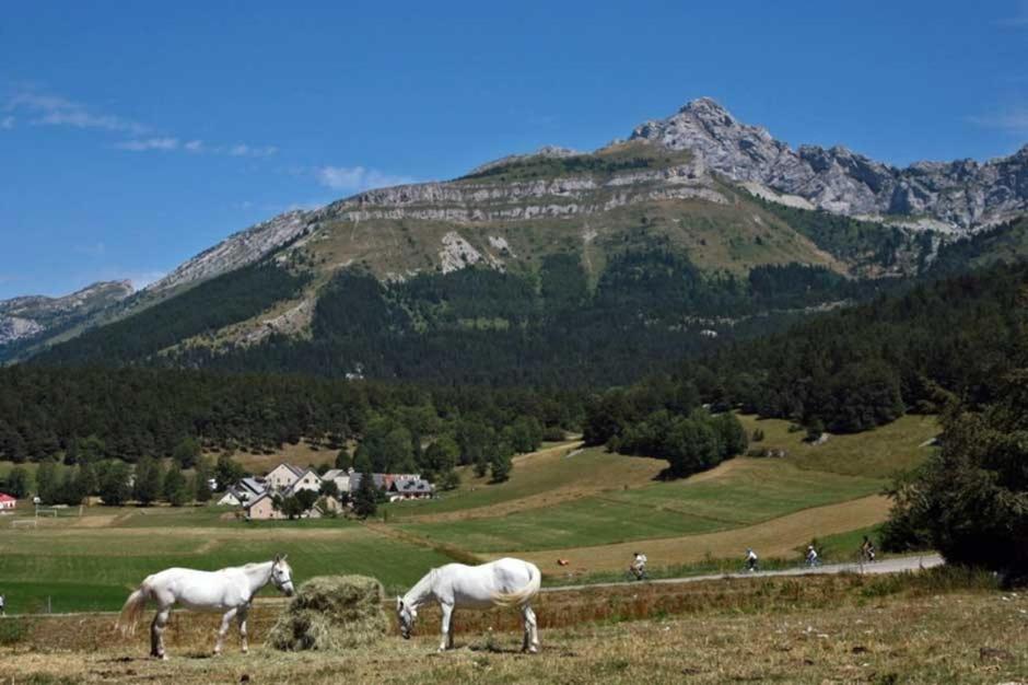 Chalet photo 1