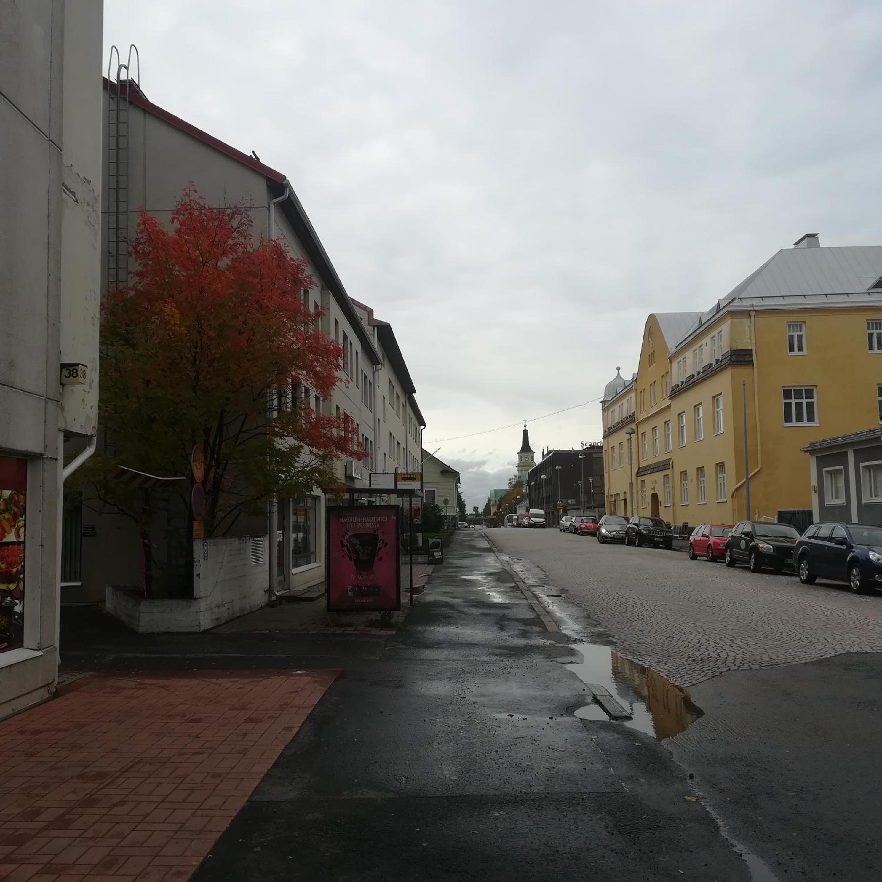 Apartment - Photo 9