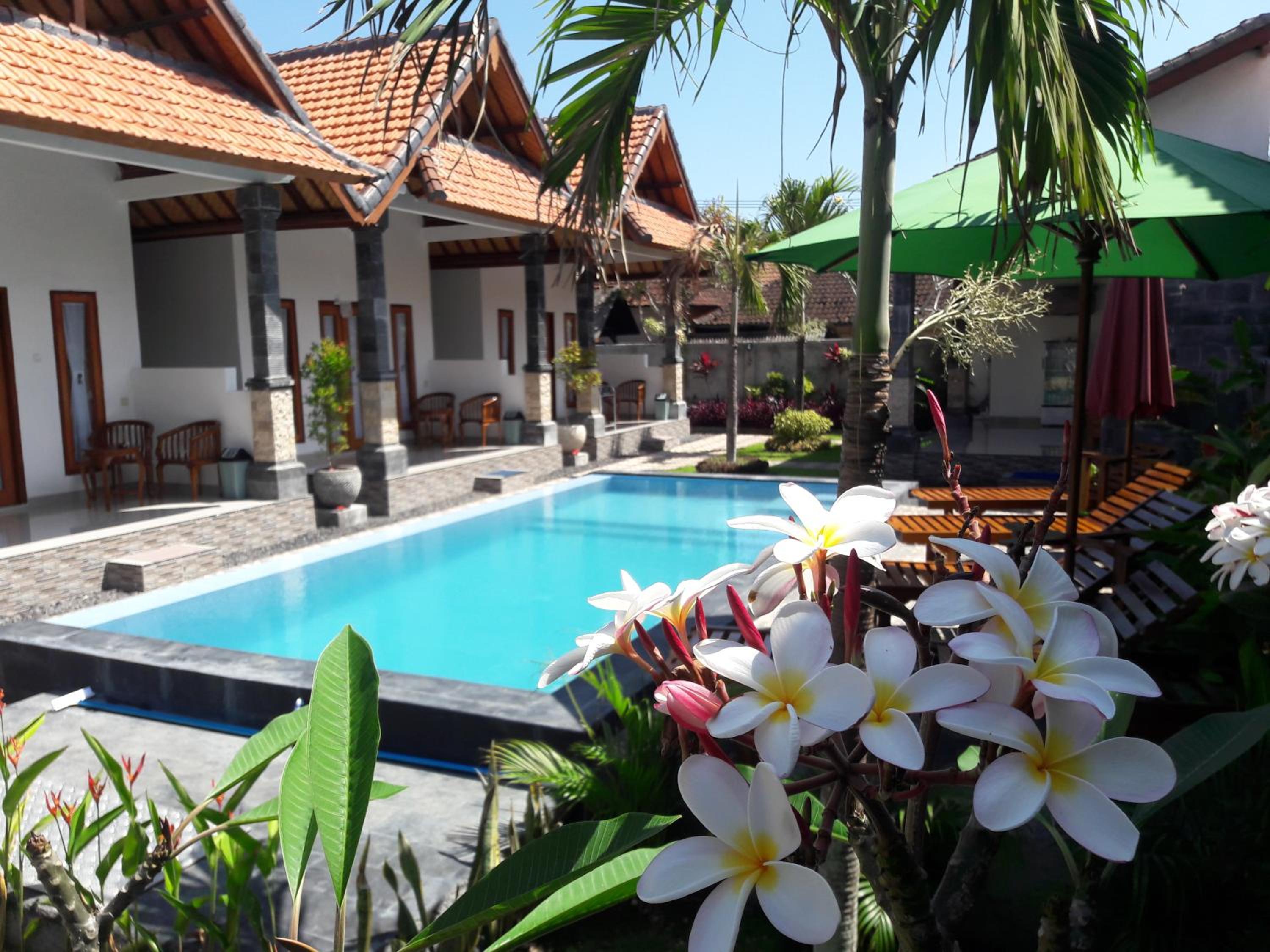 Double Room with Pool View photo 2