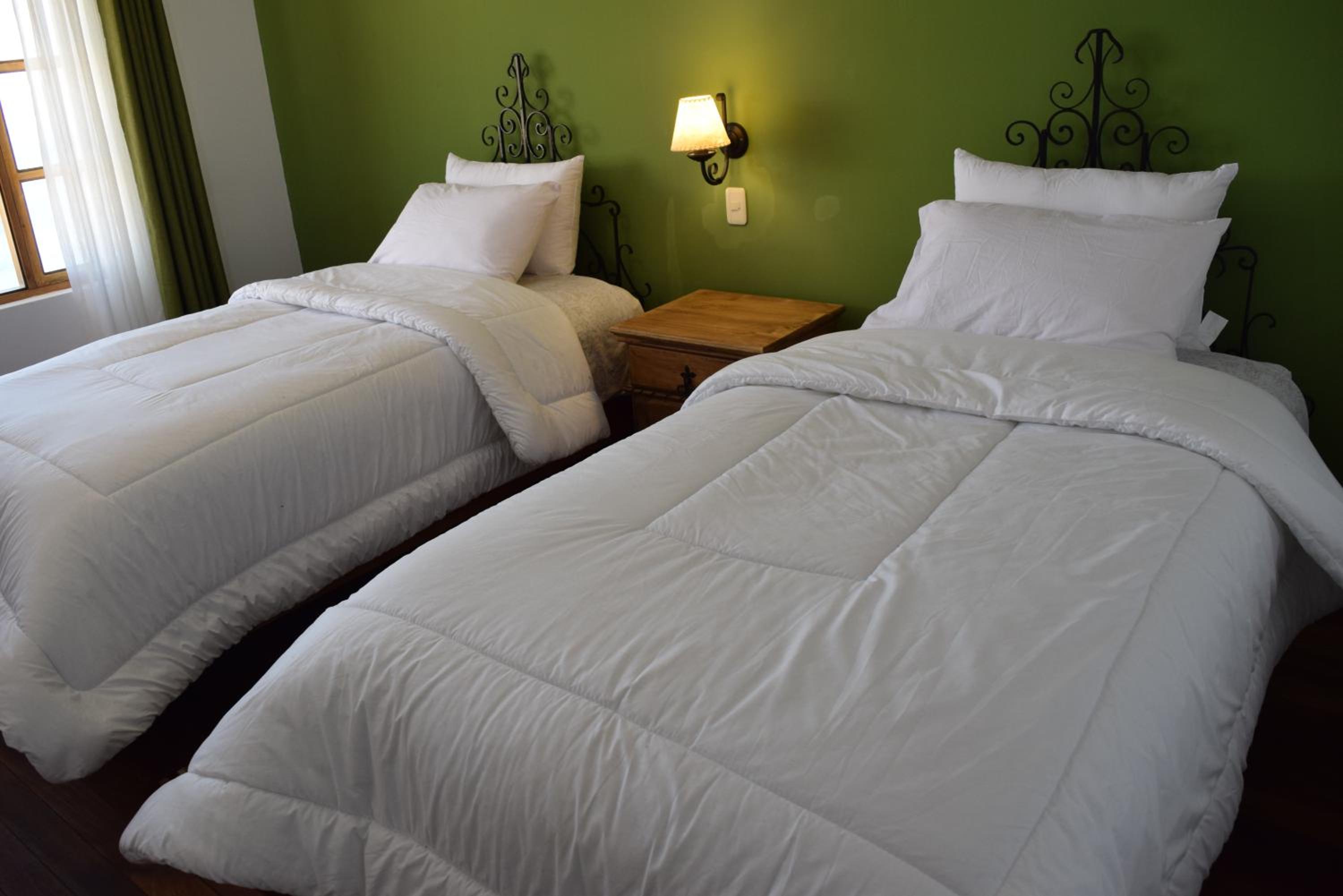 Twin Room with Lake View photo 2