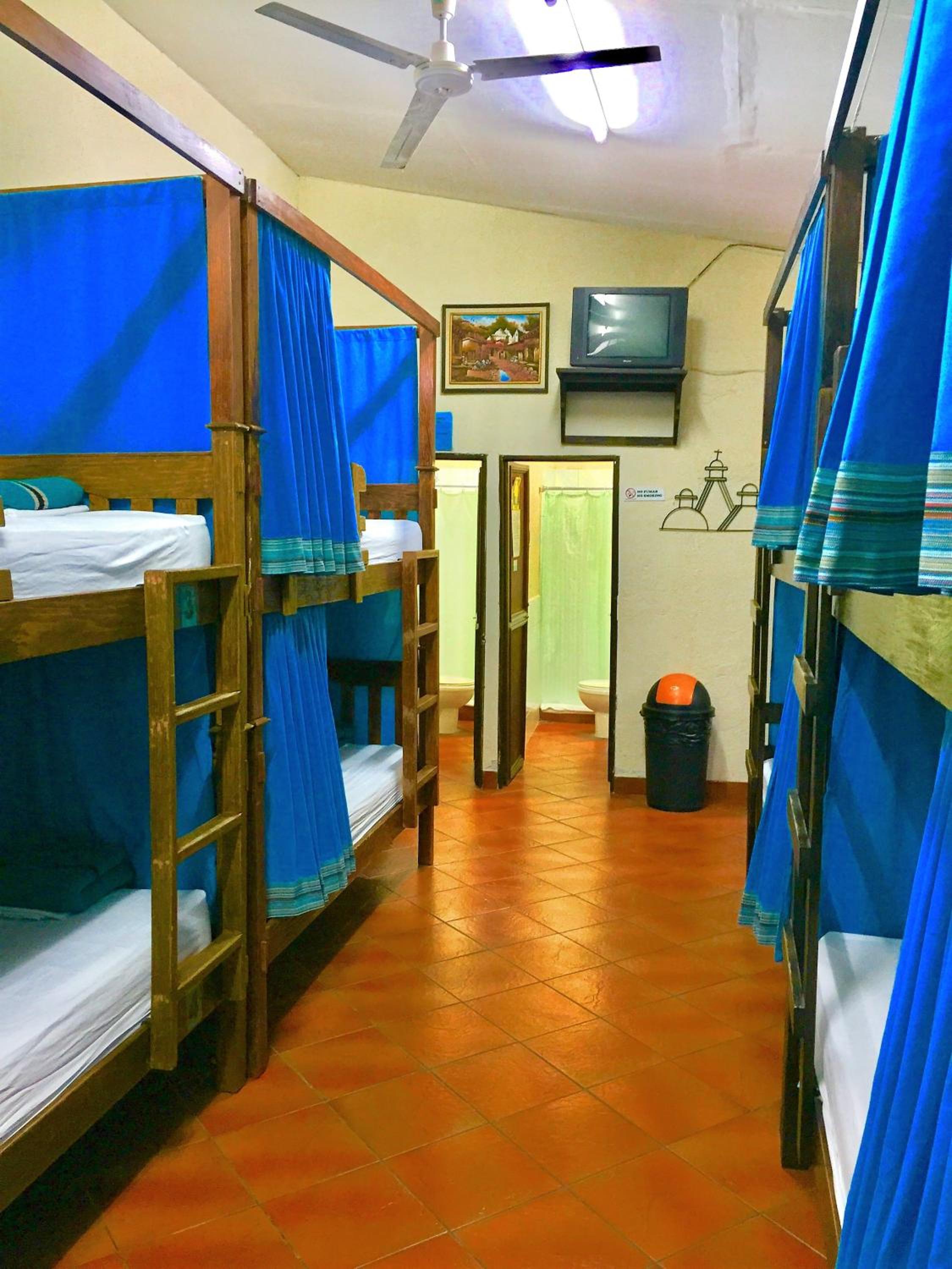 Single Bed in Dormitory Room photo 1