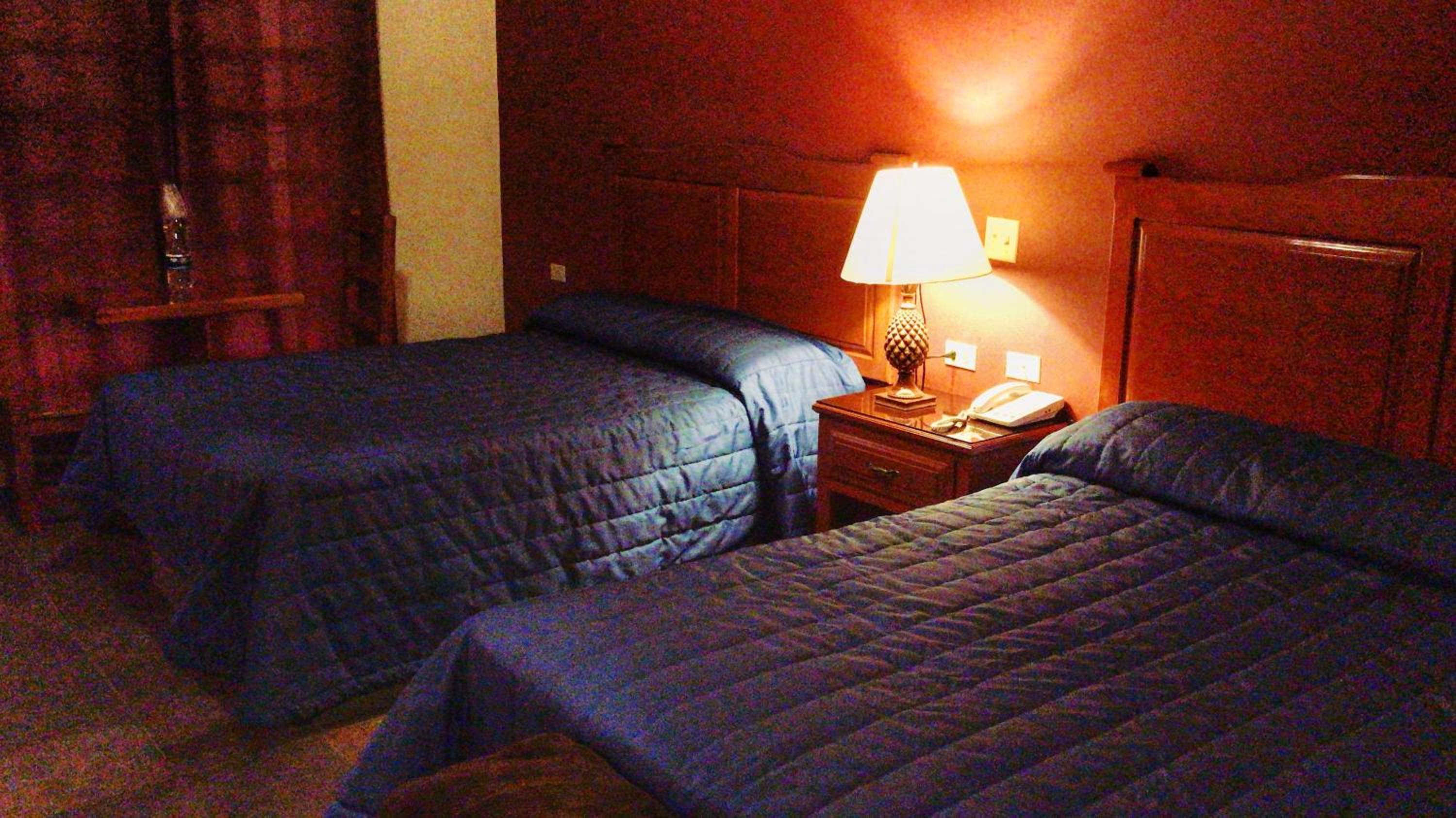 Twin Room - Photo 3