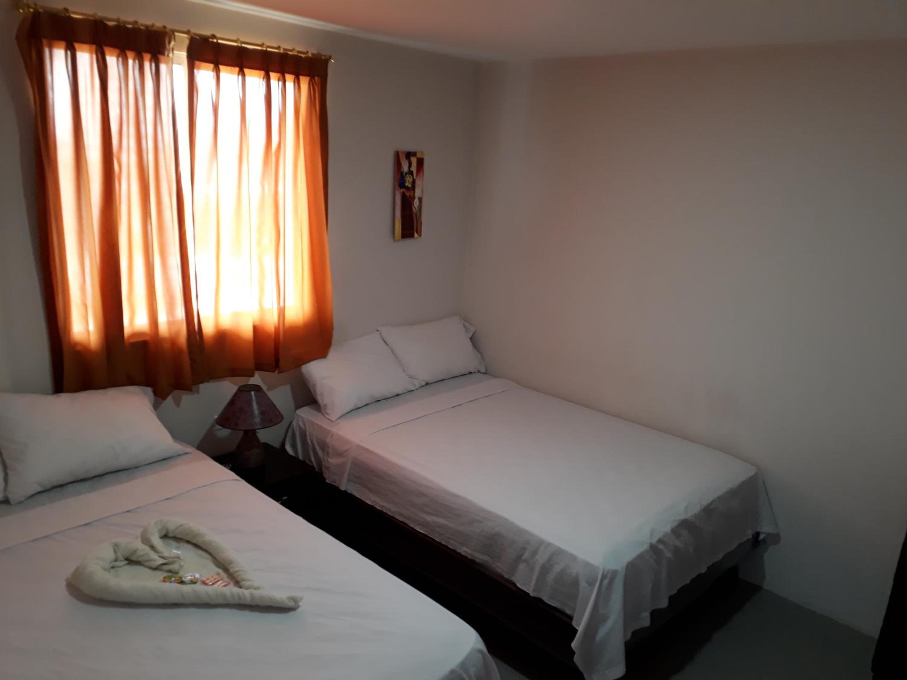 Twin Room photo 1