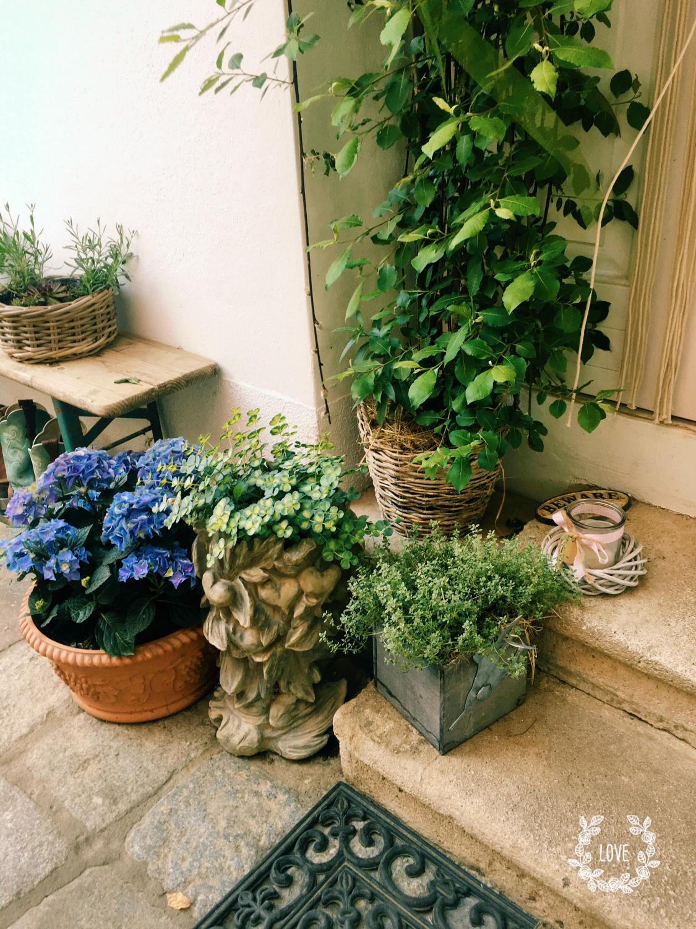 Apartment - Ground Floor - Photo 29