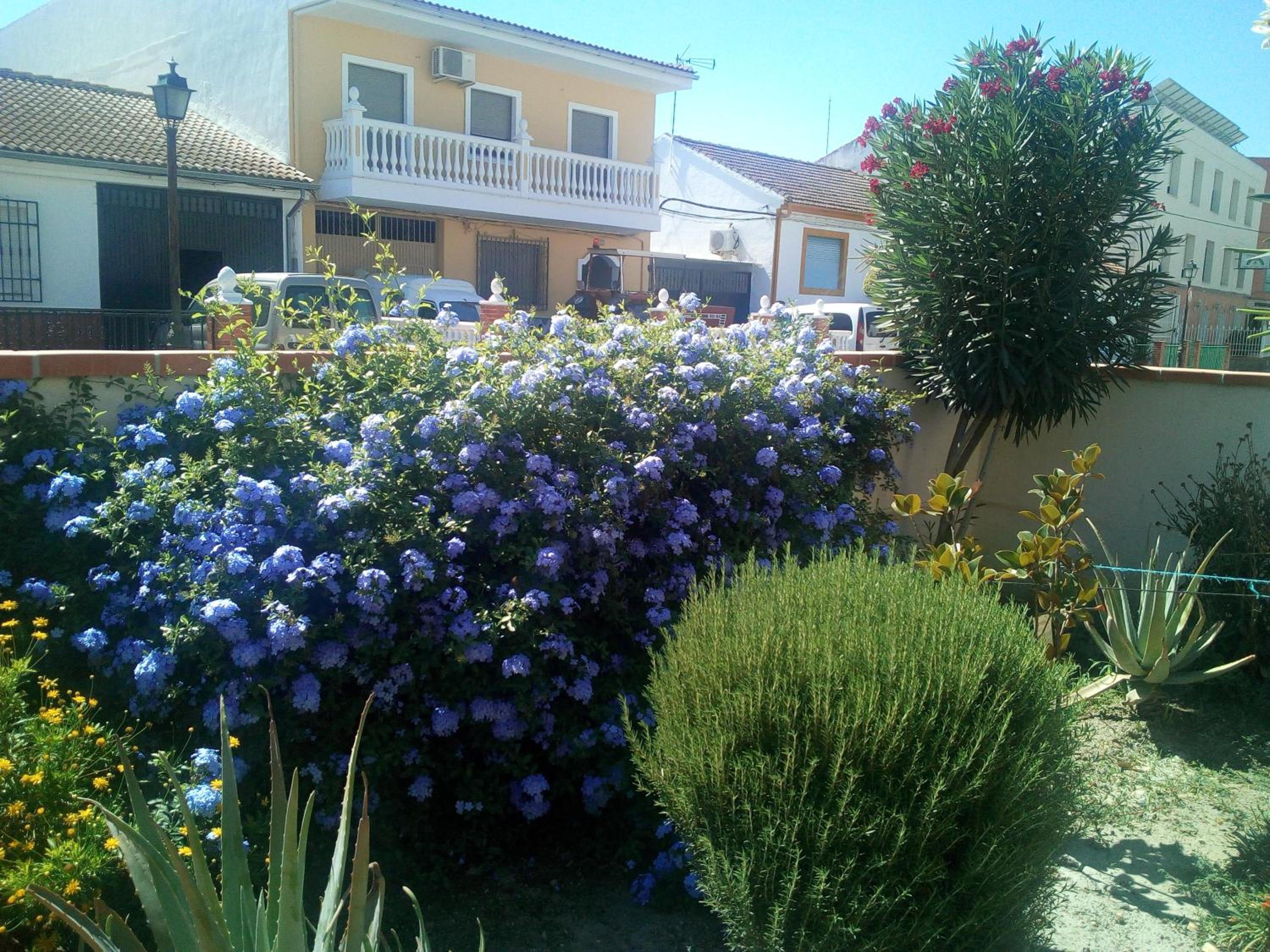 Apartment With Garden View photo 2