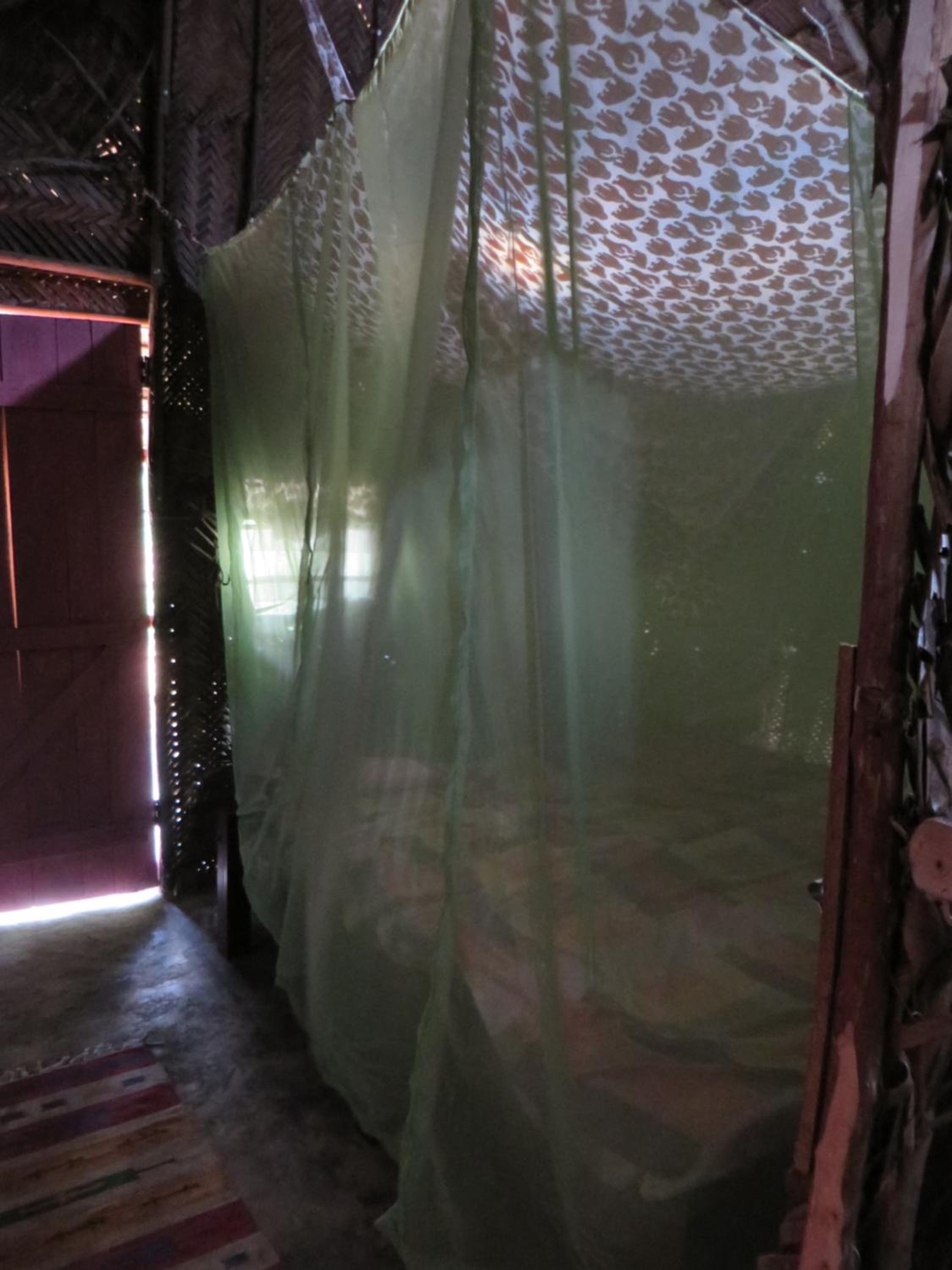 Tent photo 1