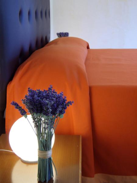 Double Or Twin Room photo 1