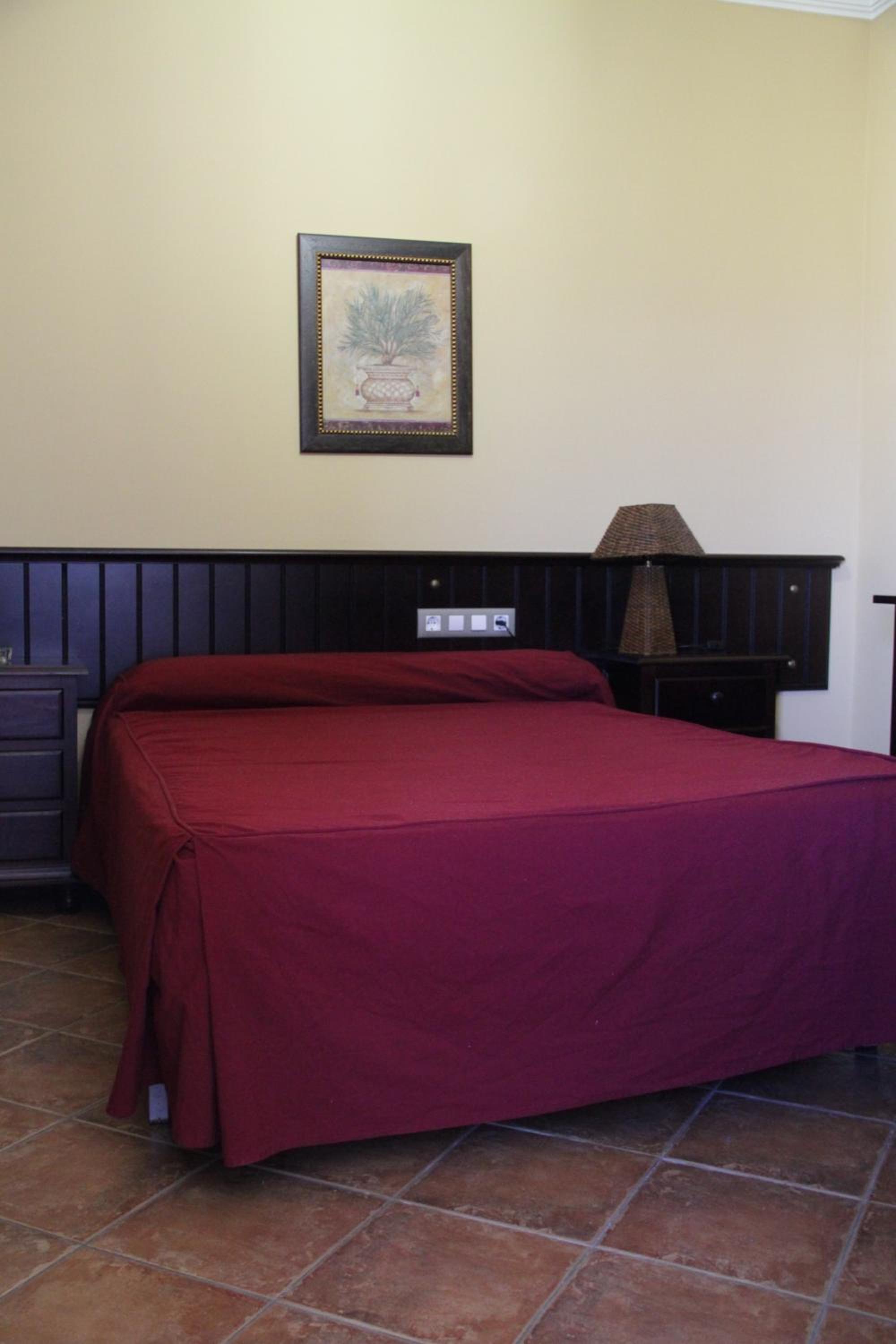 Single Room photo 2