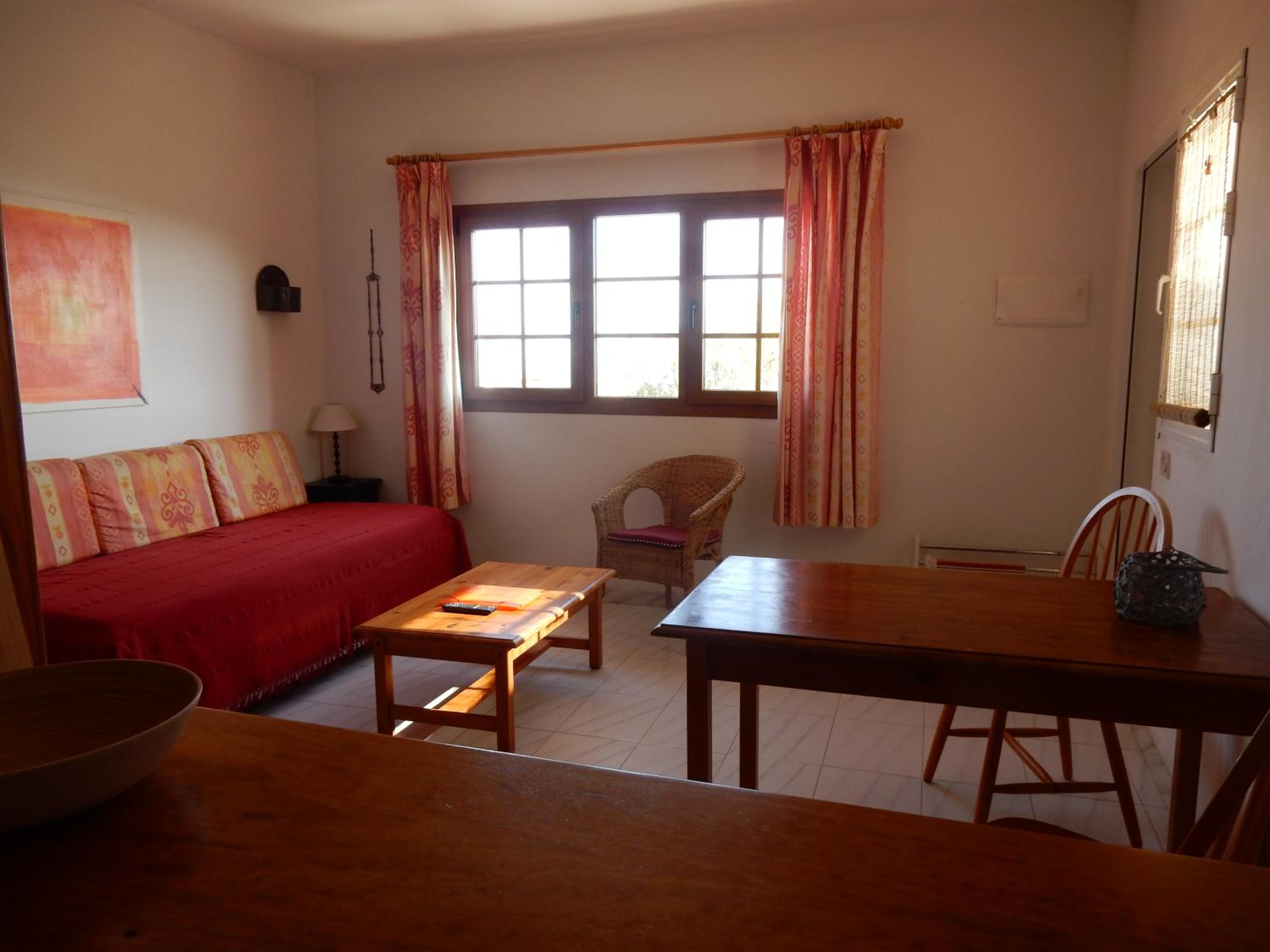 Apartment with Terrace photo 2