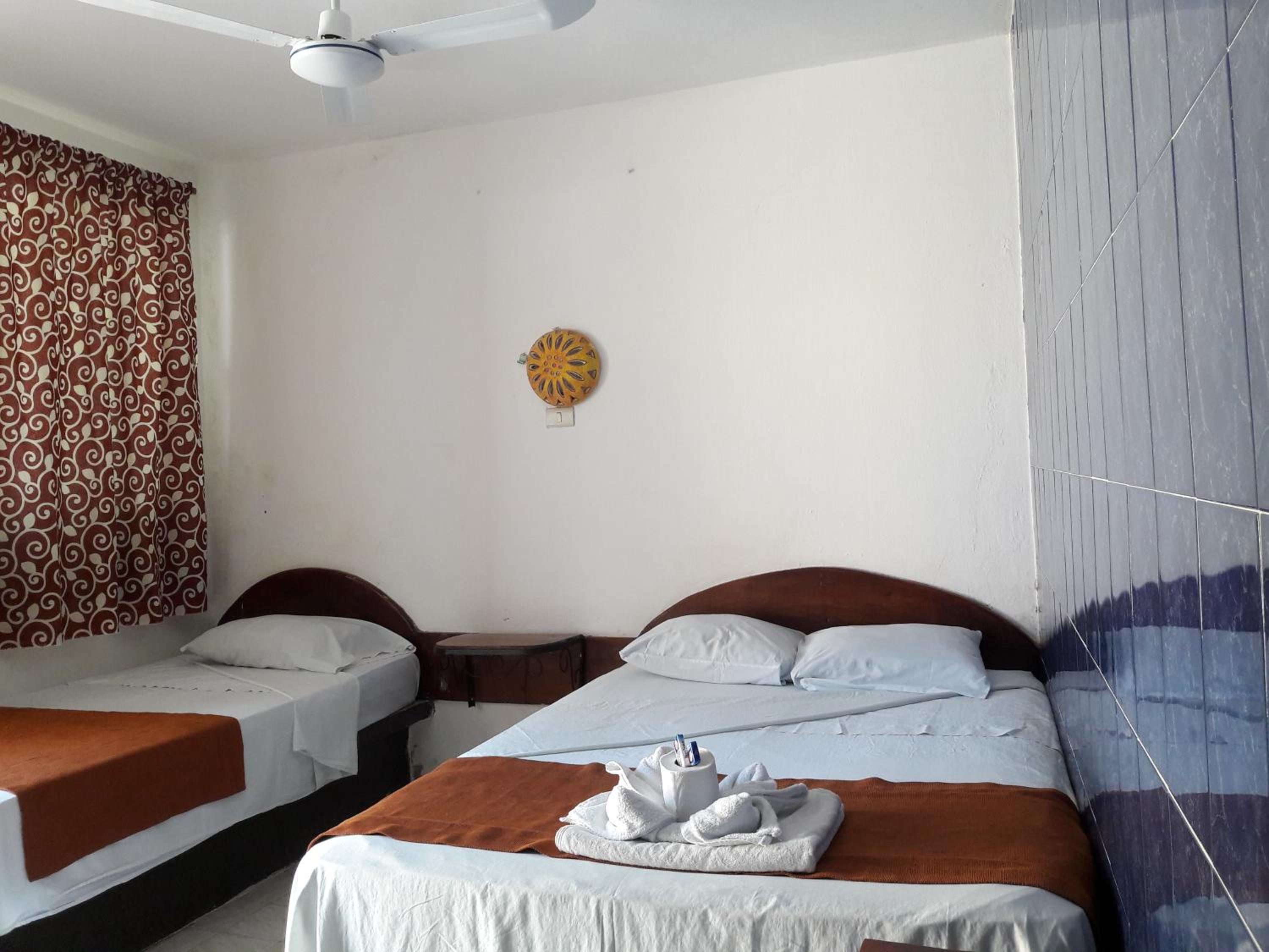 Twin Room photo 3
