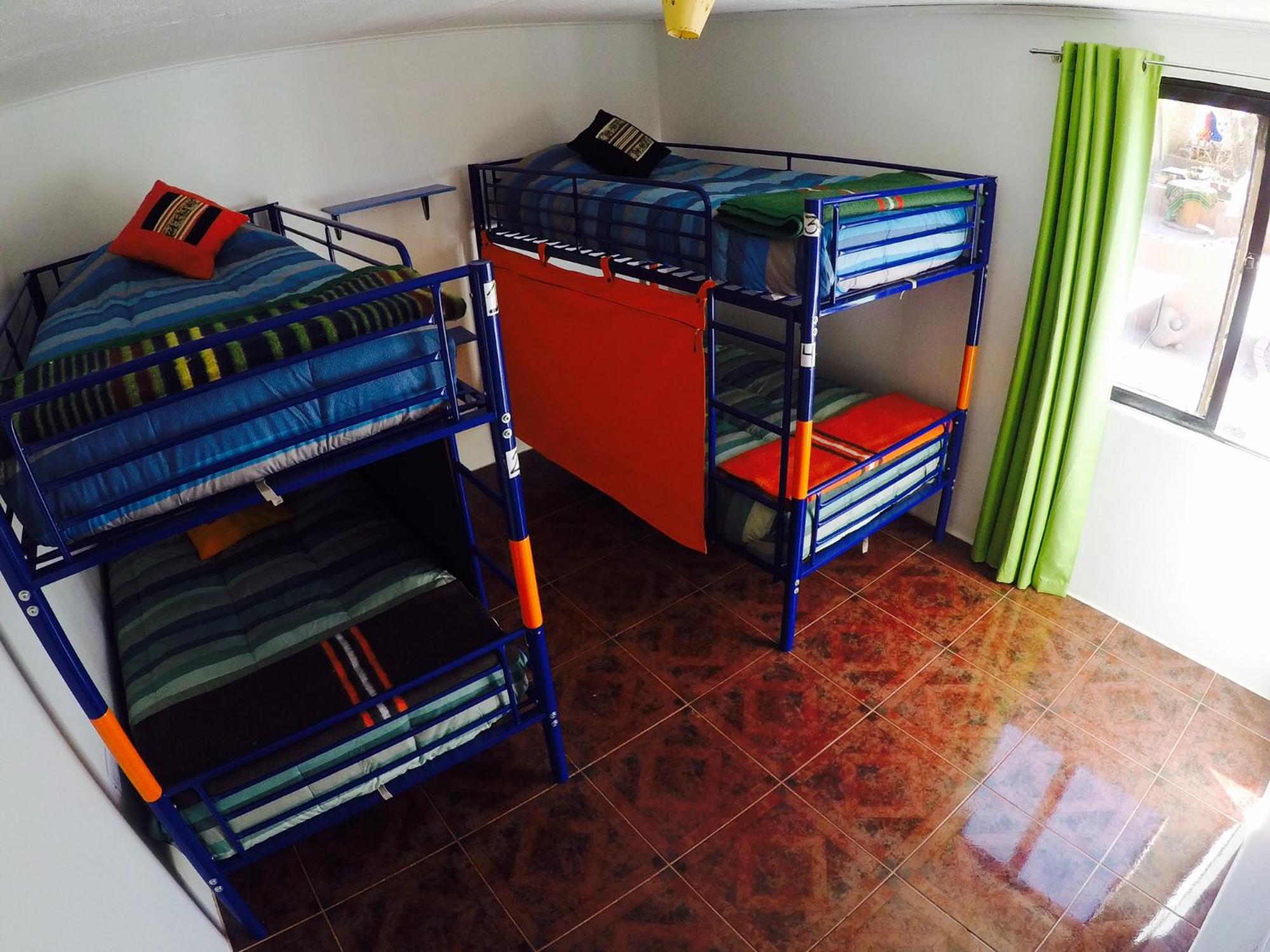 Bed in 4-Bed Mixed Dormitory Room photo 1