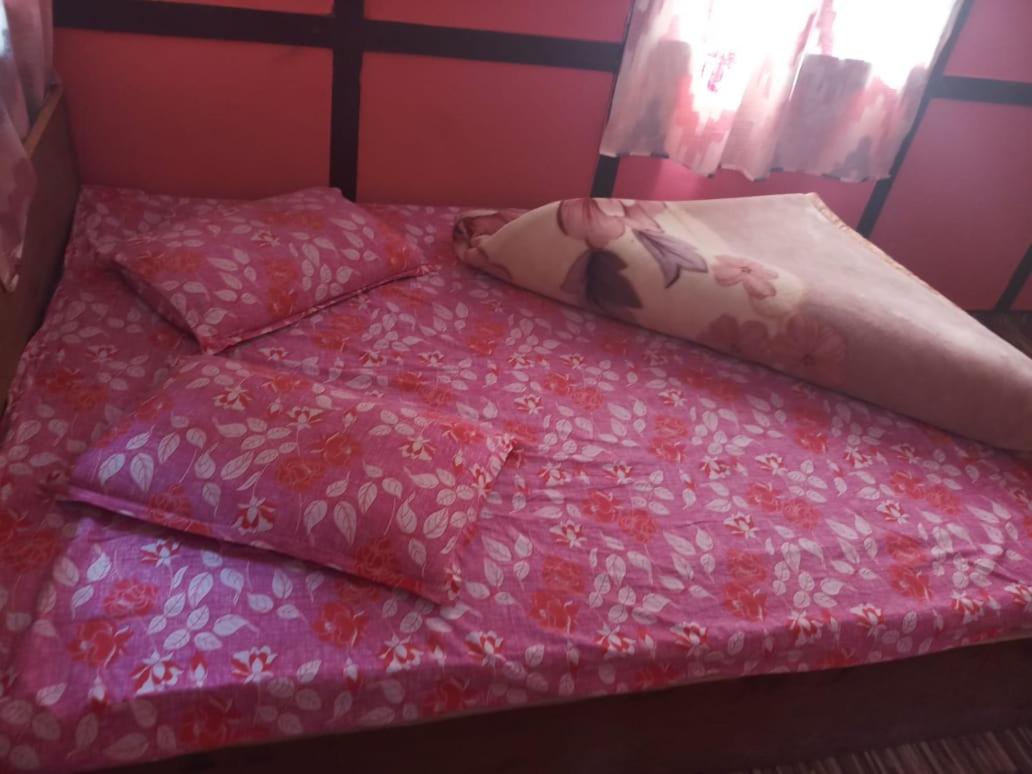 Quadruple Room photo 1