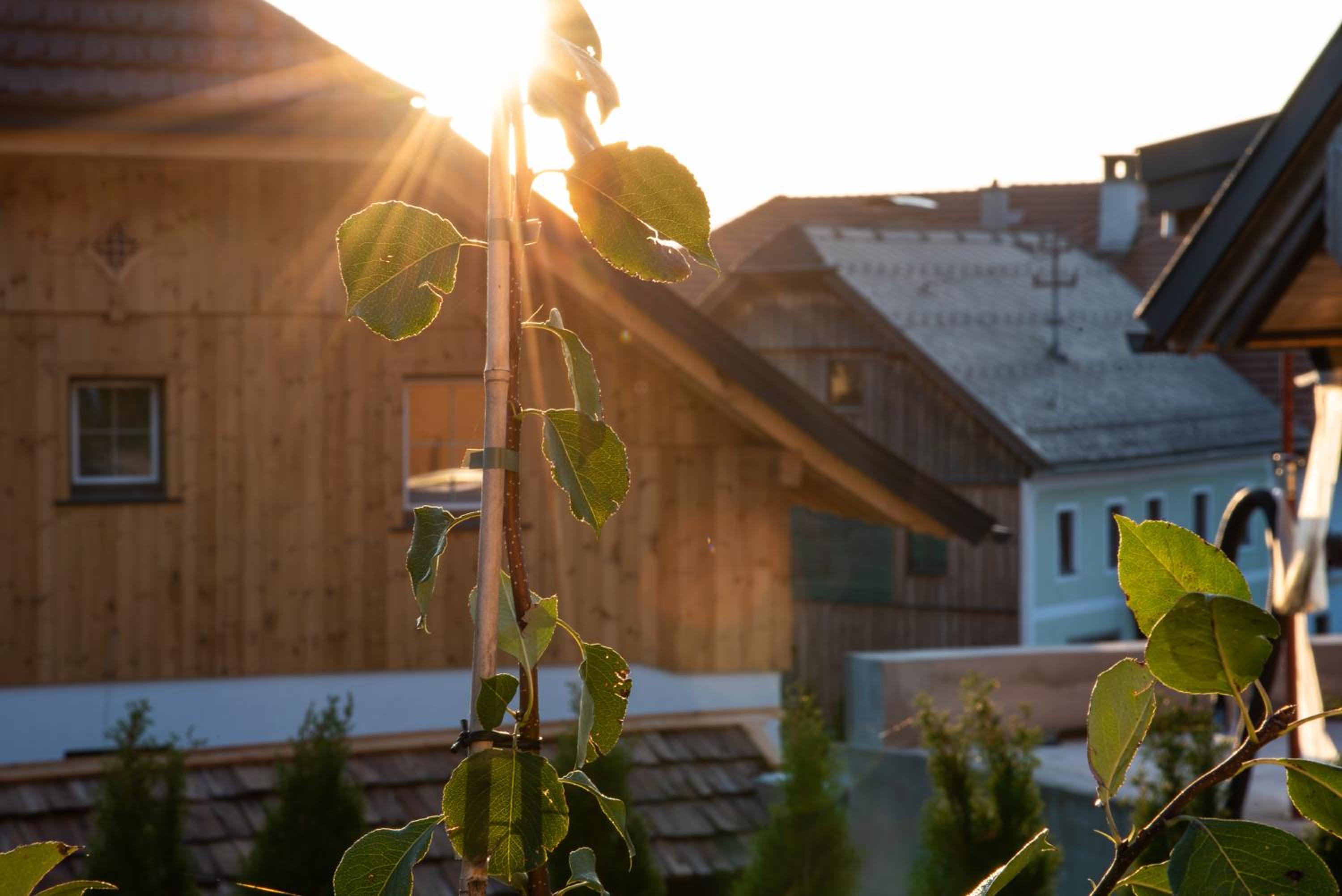 Holiday Home - Split Level - Photo 8