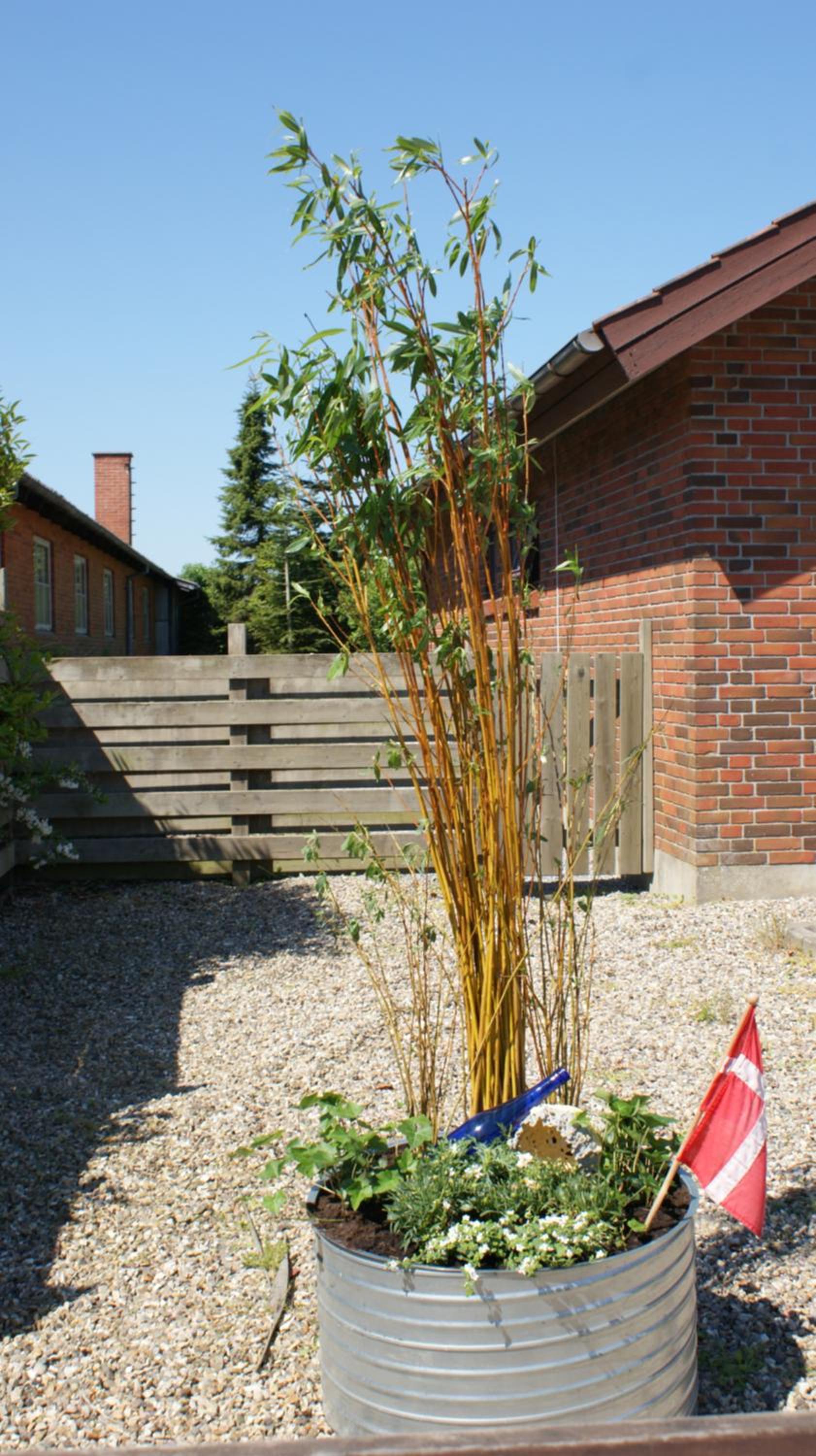 Apartment - Photo 24