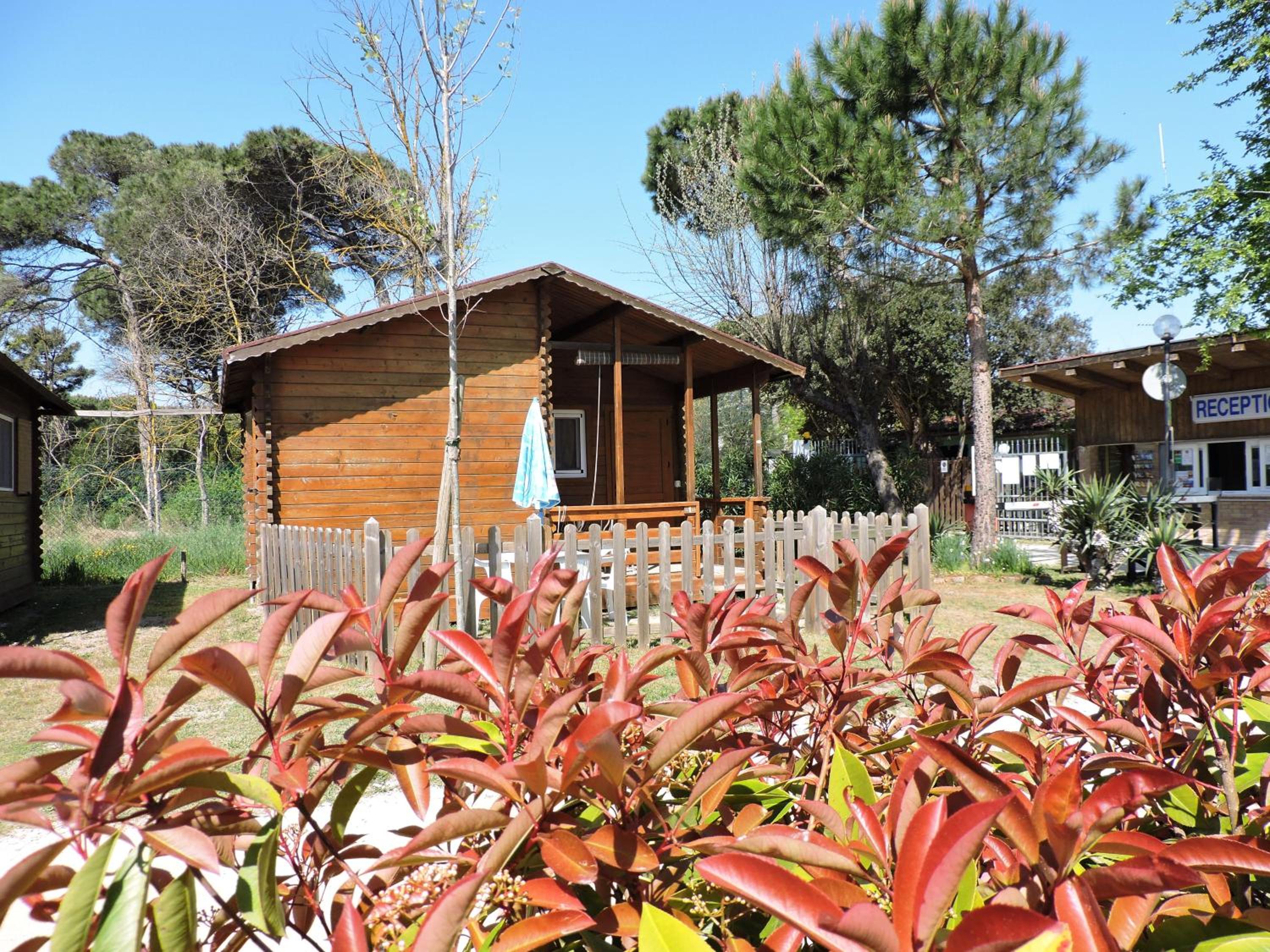 One-Bedroom Bungalow photo 3