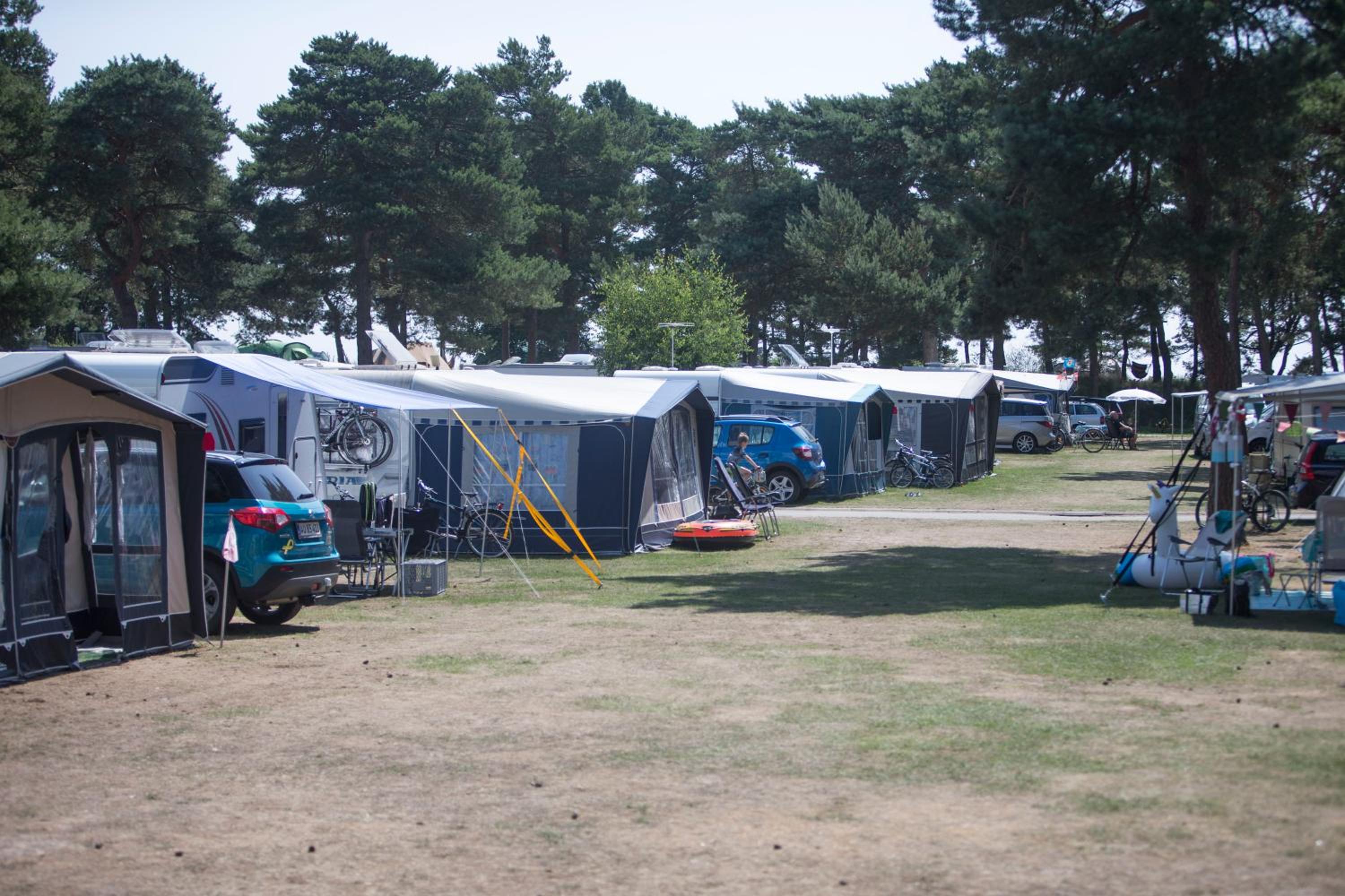 Basic Caravan site incl. electricity (bring your own caravan) - Photo 4