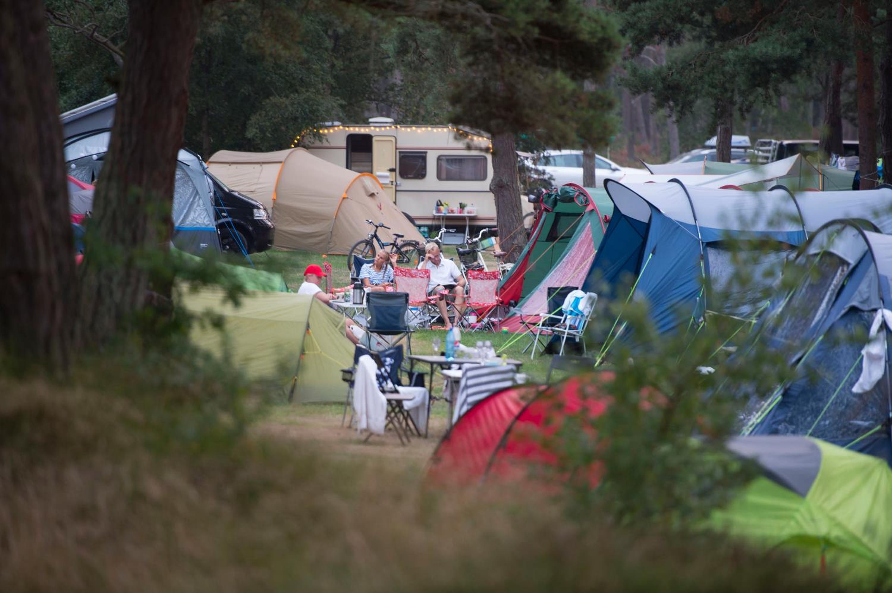 Basic Tent Site, NO electricity (Bring your own tent) - Photo 4