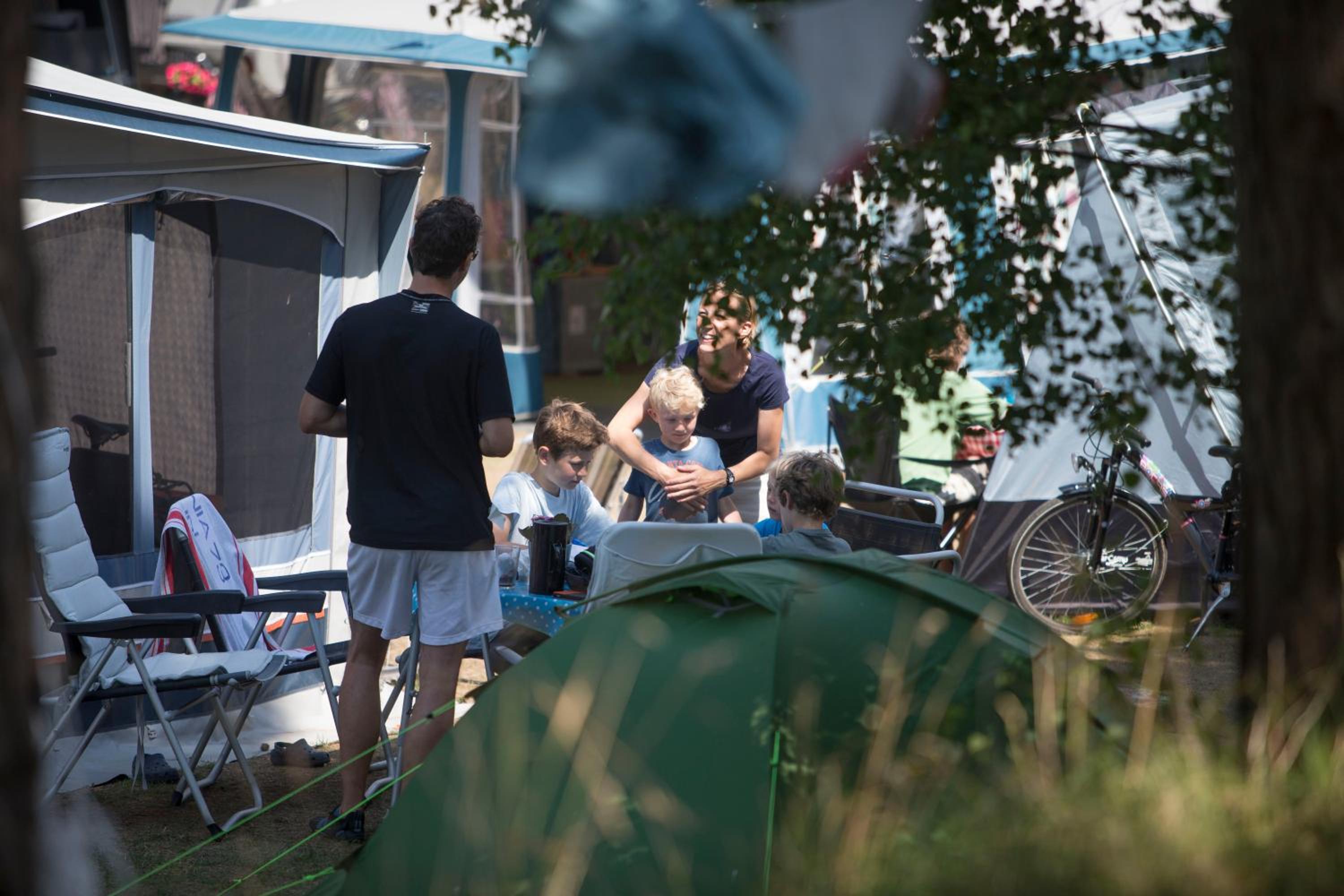 Basic Caravan site incl. electricity (bring your own caravan) - Photo 1