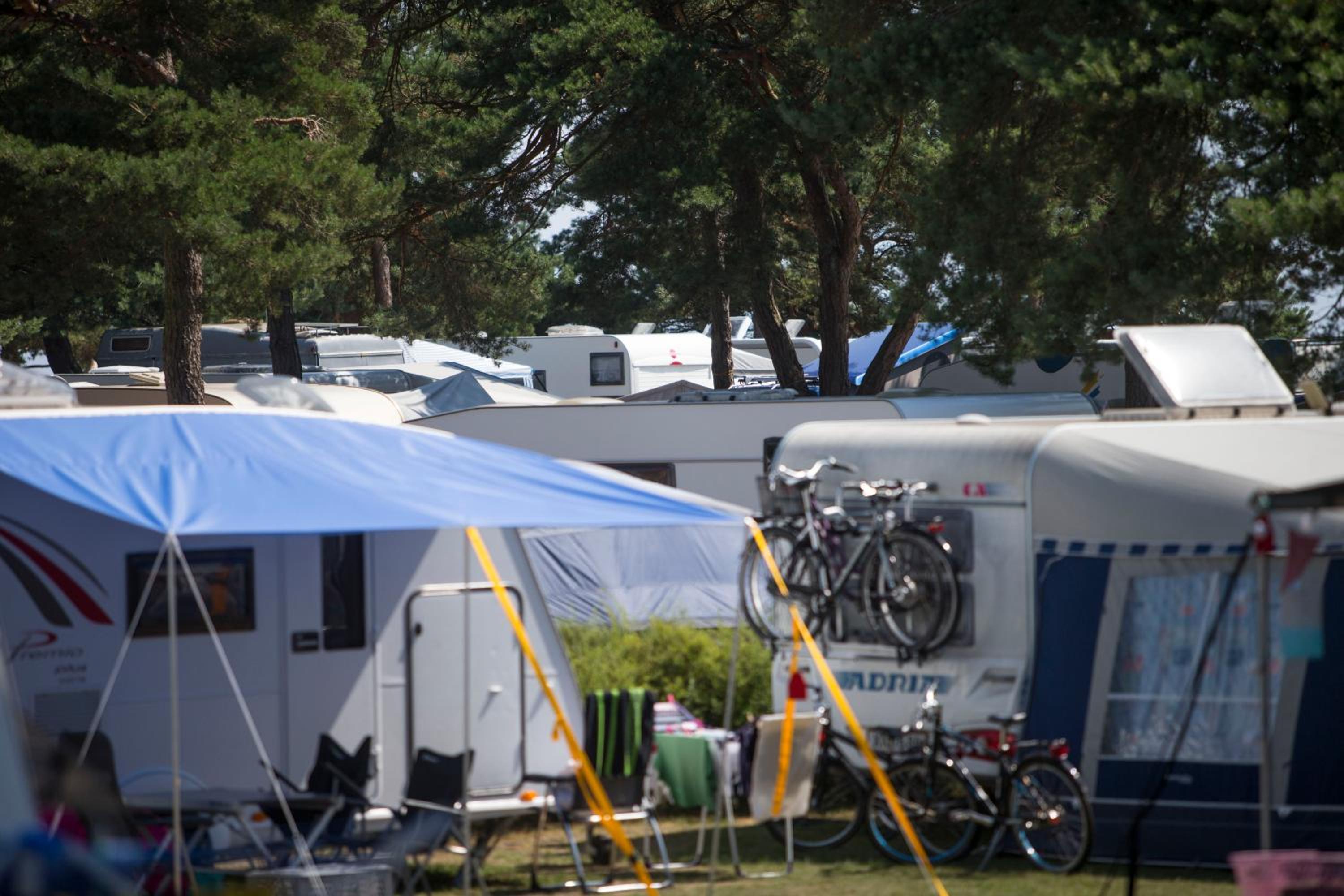 Basic Caravan site incl. electricity (bring your own caravan) - Photo 3