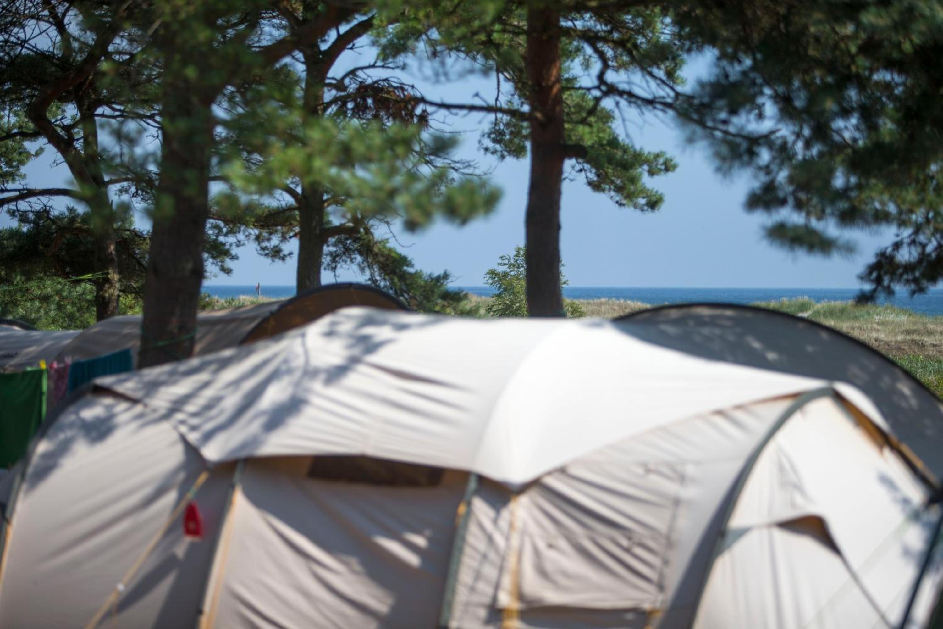Basic Tent site incl. electricity (bring your own tent) - Photo 1