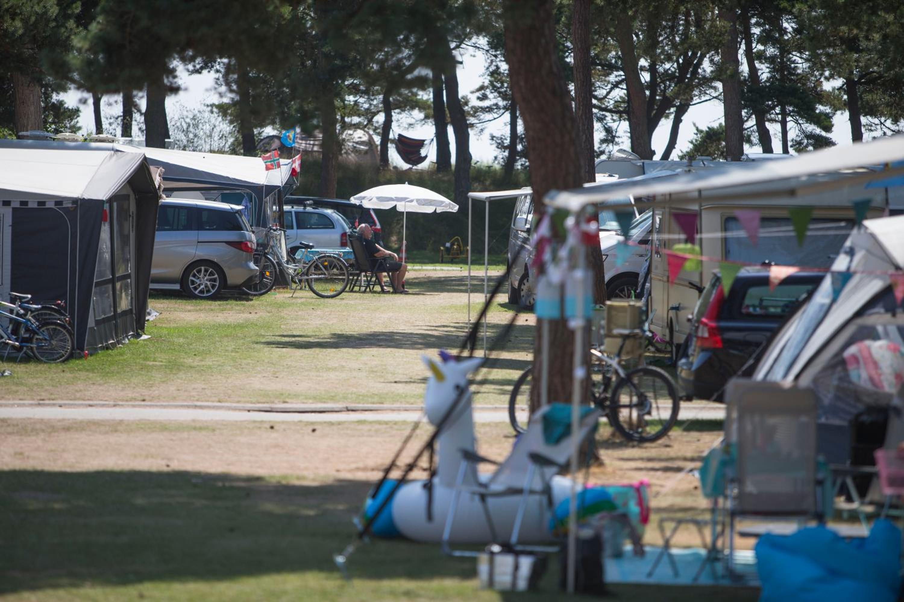 Basic Caravan Site NO electricity (bring your own caravan) - Photo 1