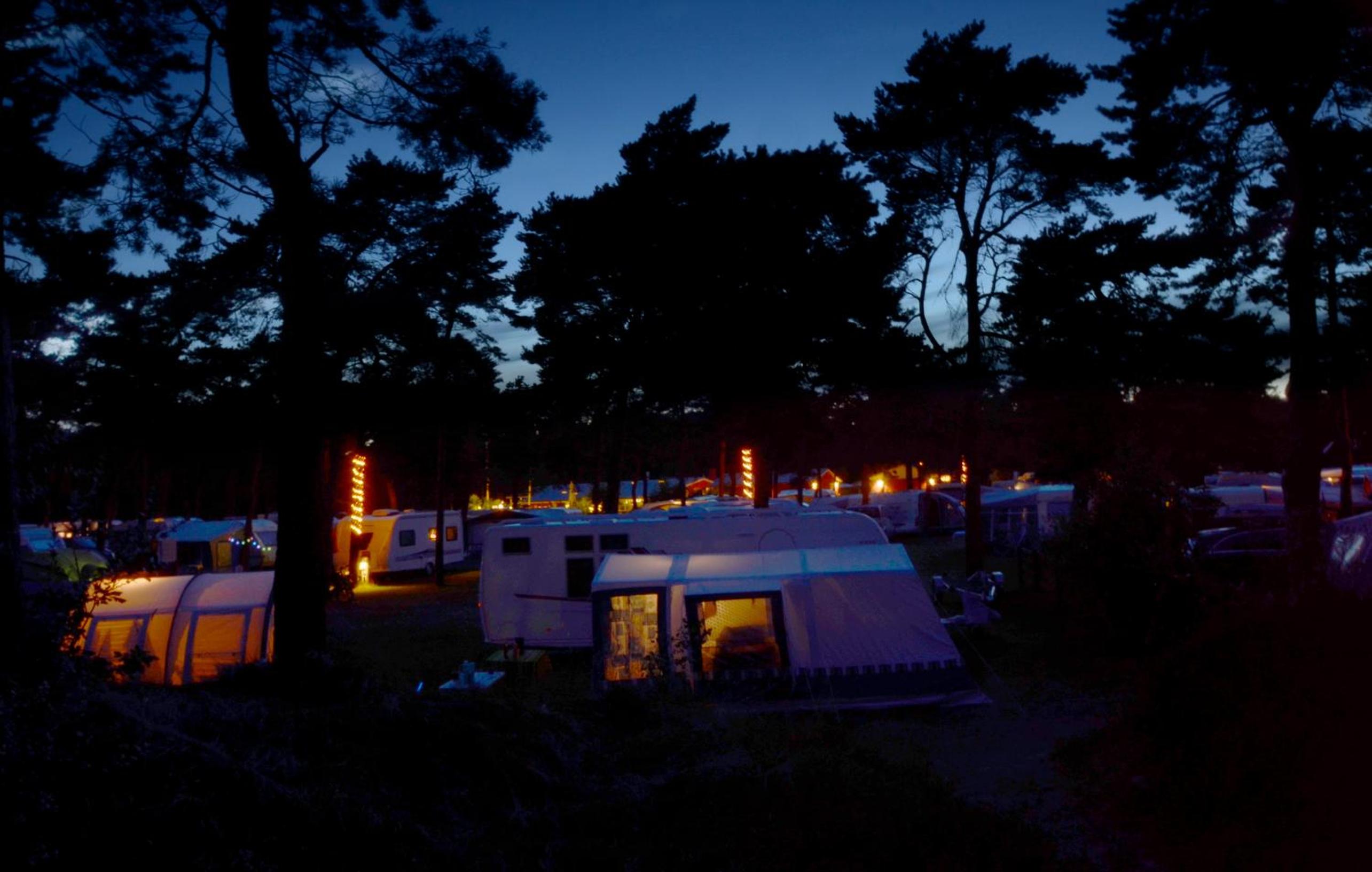 Basic Caravan site incl. electricity (bring your own caravan) - Photo 2