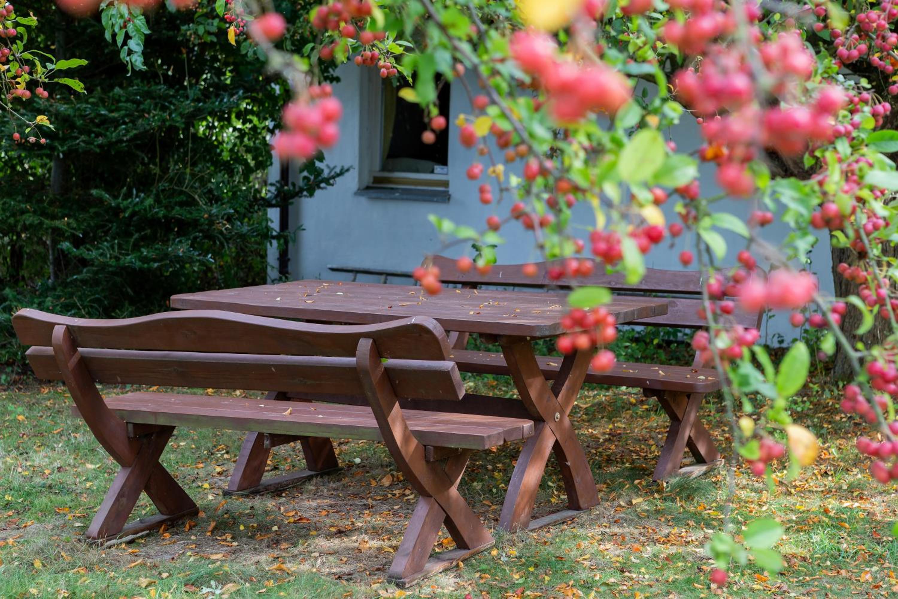 Holiday home with Terrace - Photo 12