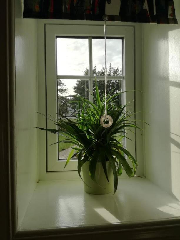 Apartment with Terrace photo 3
