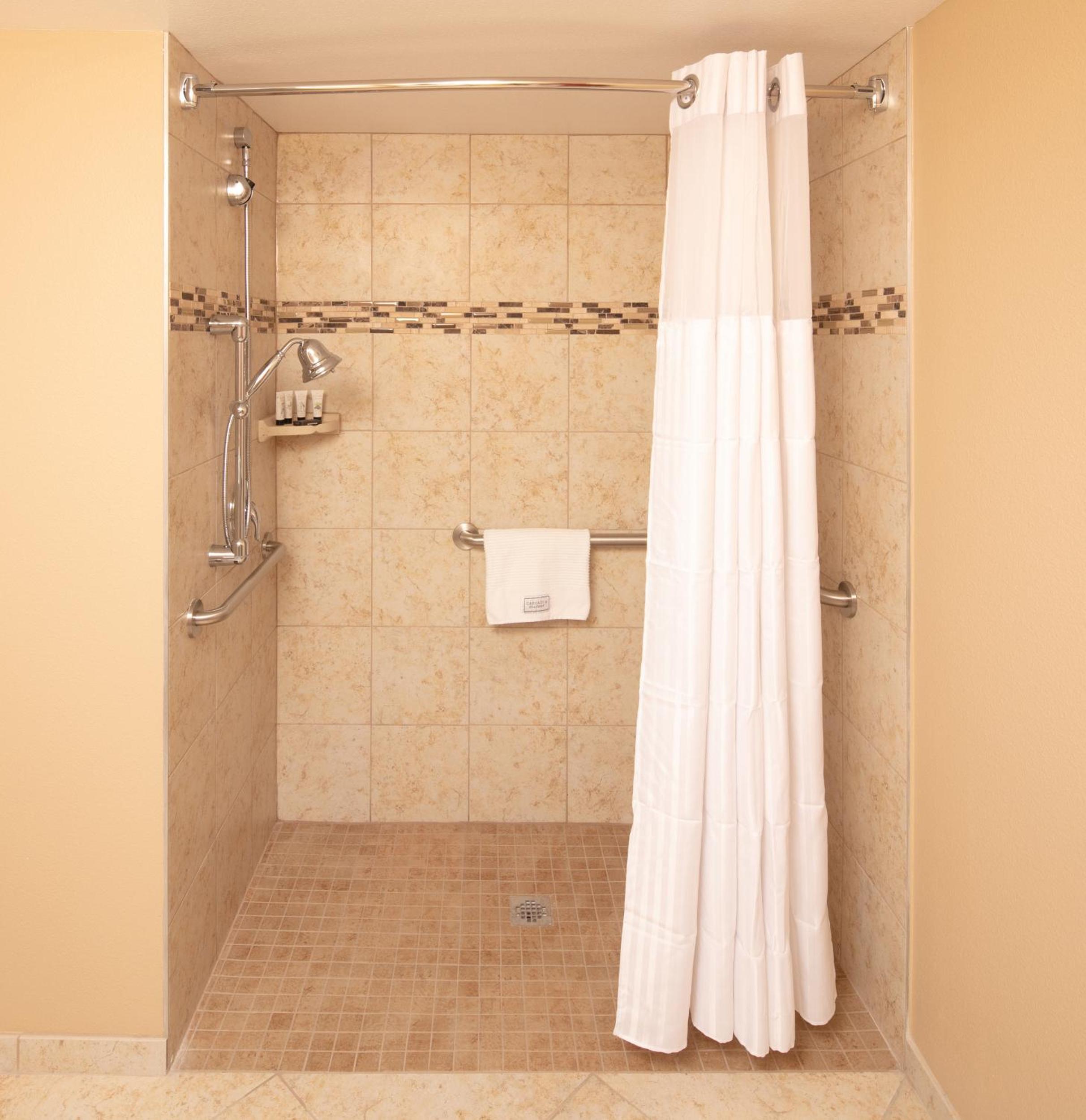 King Suite - Accessible/Non-Smoking - Photo 1